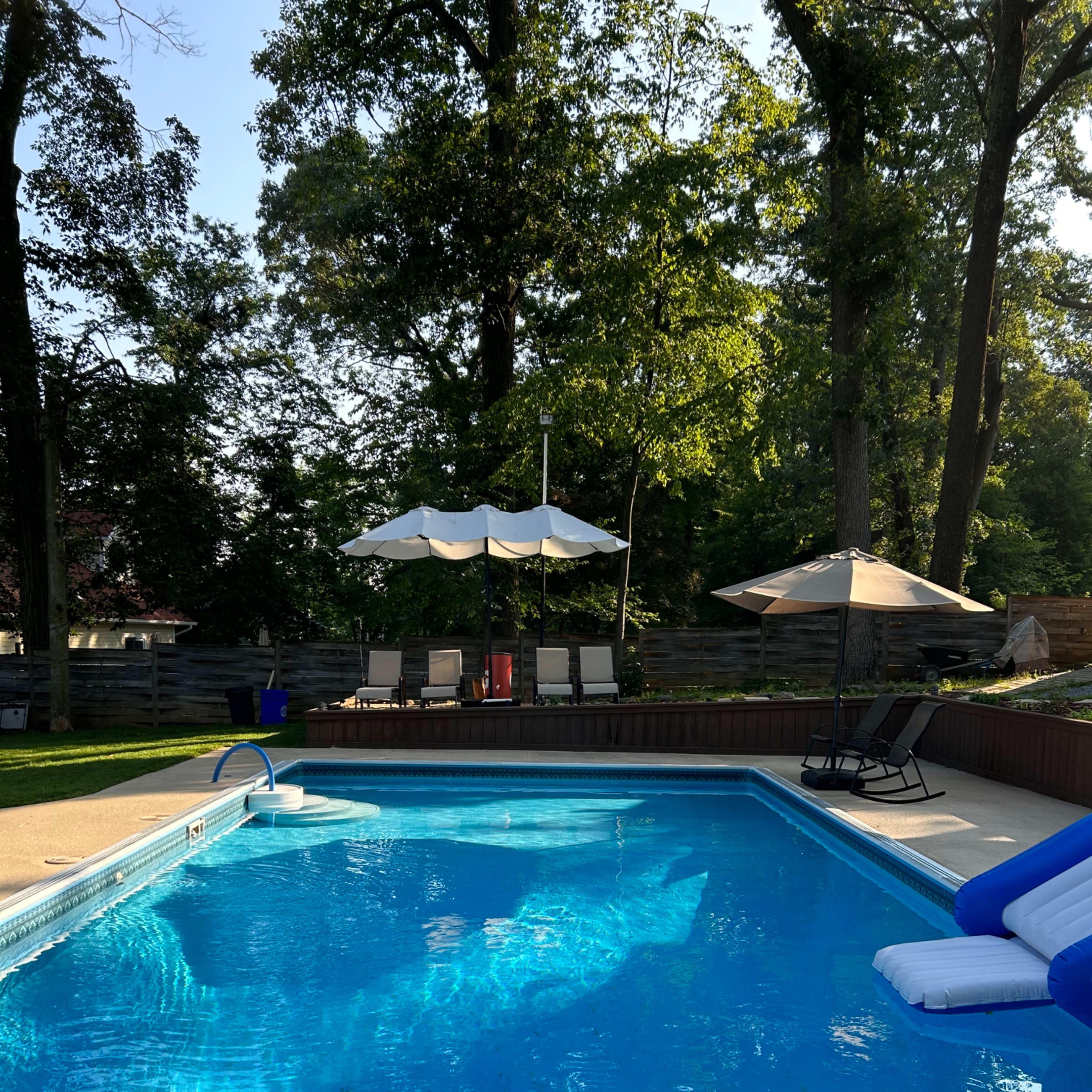 A clear swimming pool surrounded by trees, with lounge chairs and an umbrella in the background.