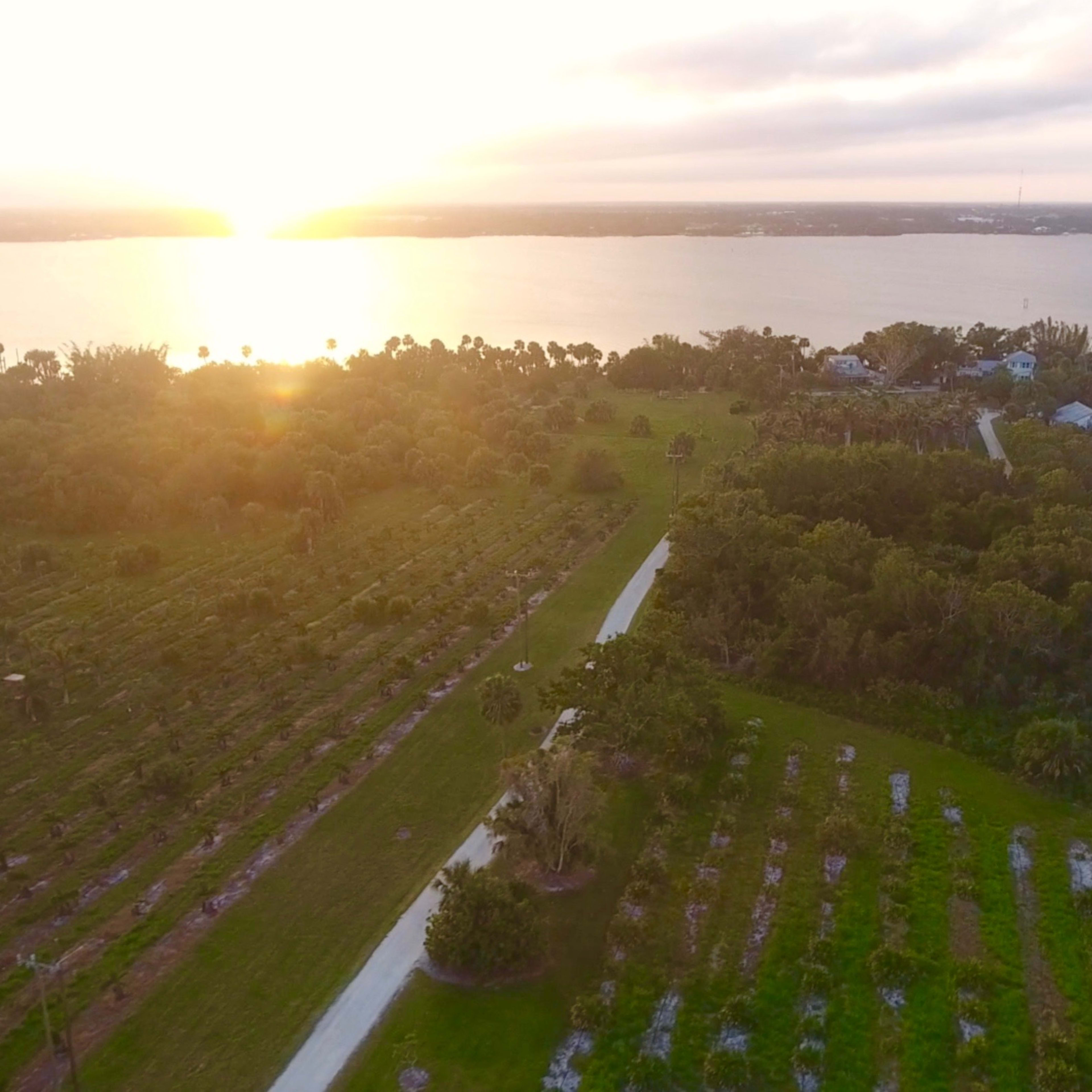 A scenic view of a coastal landscape with trees and a path, illuminated by a sunset over the water.