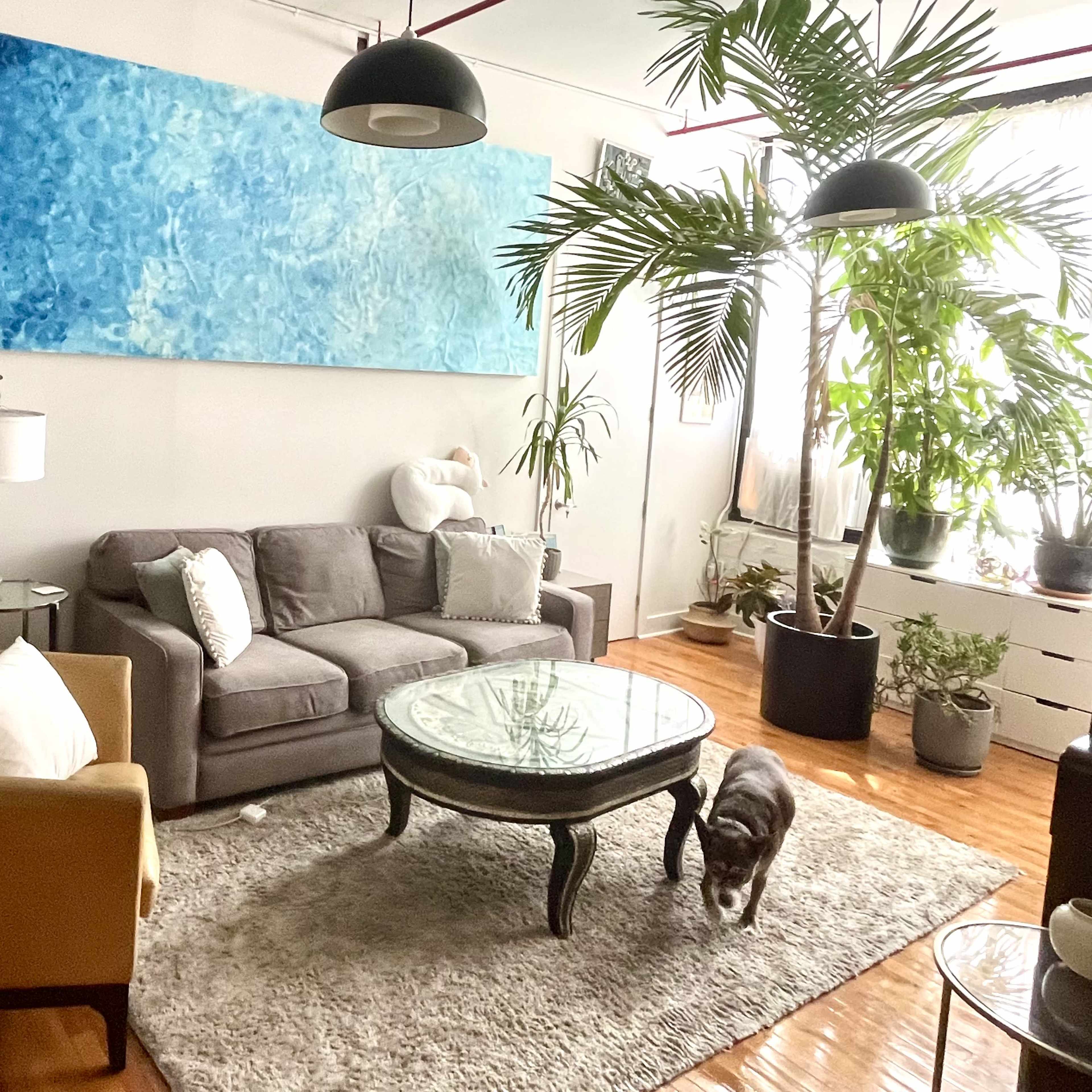 Sun-kissed Spacious Loft with Piano, Pole and a Palm Tree Image in East Williamsburg, Brooklyn, NY