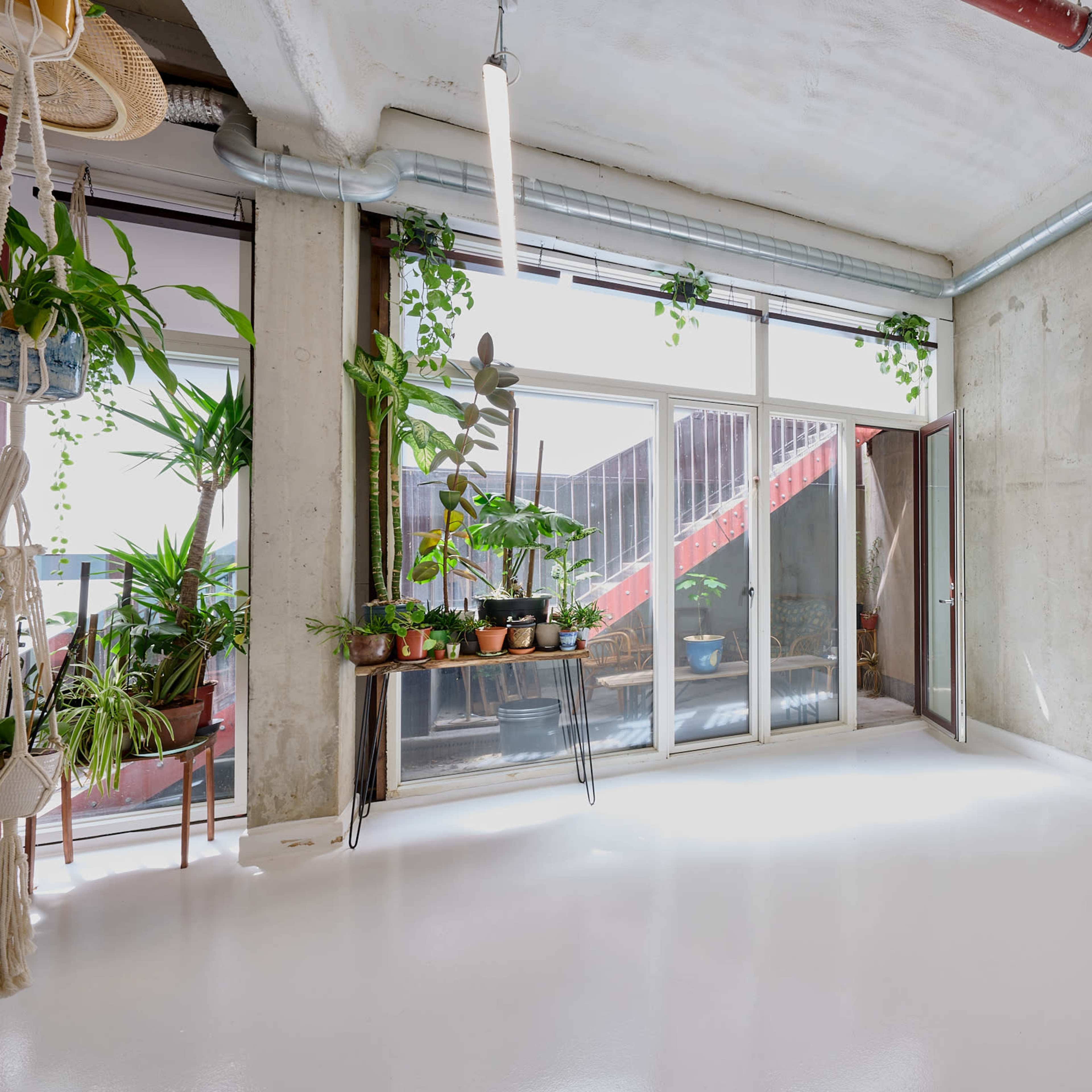 A minimalist interior features a concrete wall, large glass doors with plants, and a bright, open space with a polished white floor.