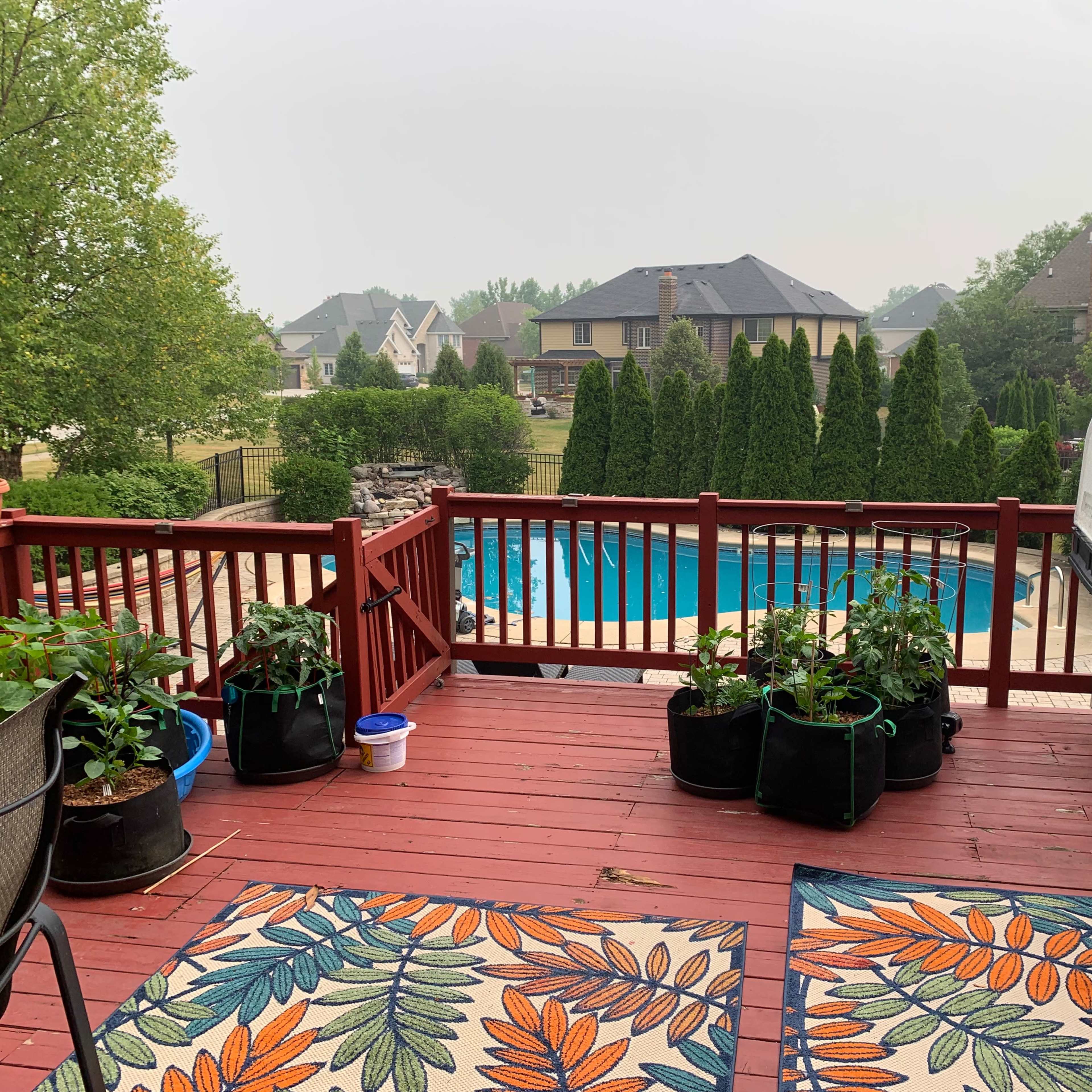 A wooden deck features potted plants in black containers and two area rugs, overlooking a pool surrounded by greenery and houses in the background.