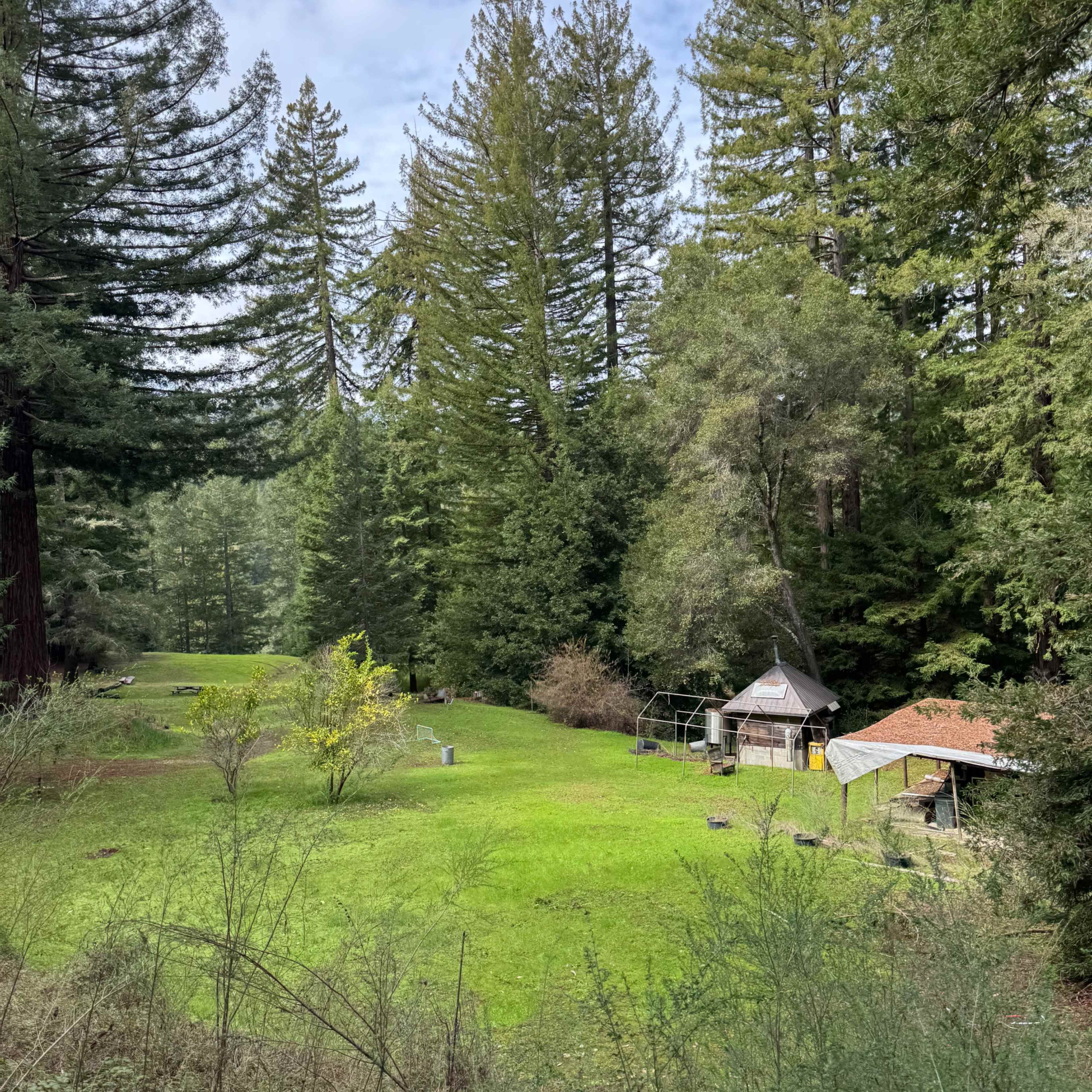 Beautiful Redwood Forest and Meadows, ~15 acres in Santa Cruz mountains Image in , Los Gatos, CA