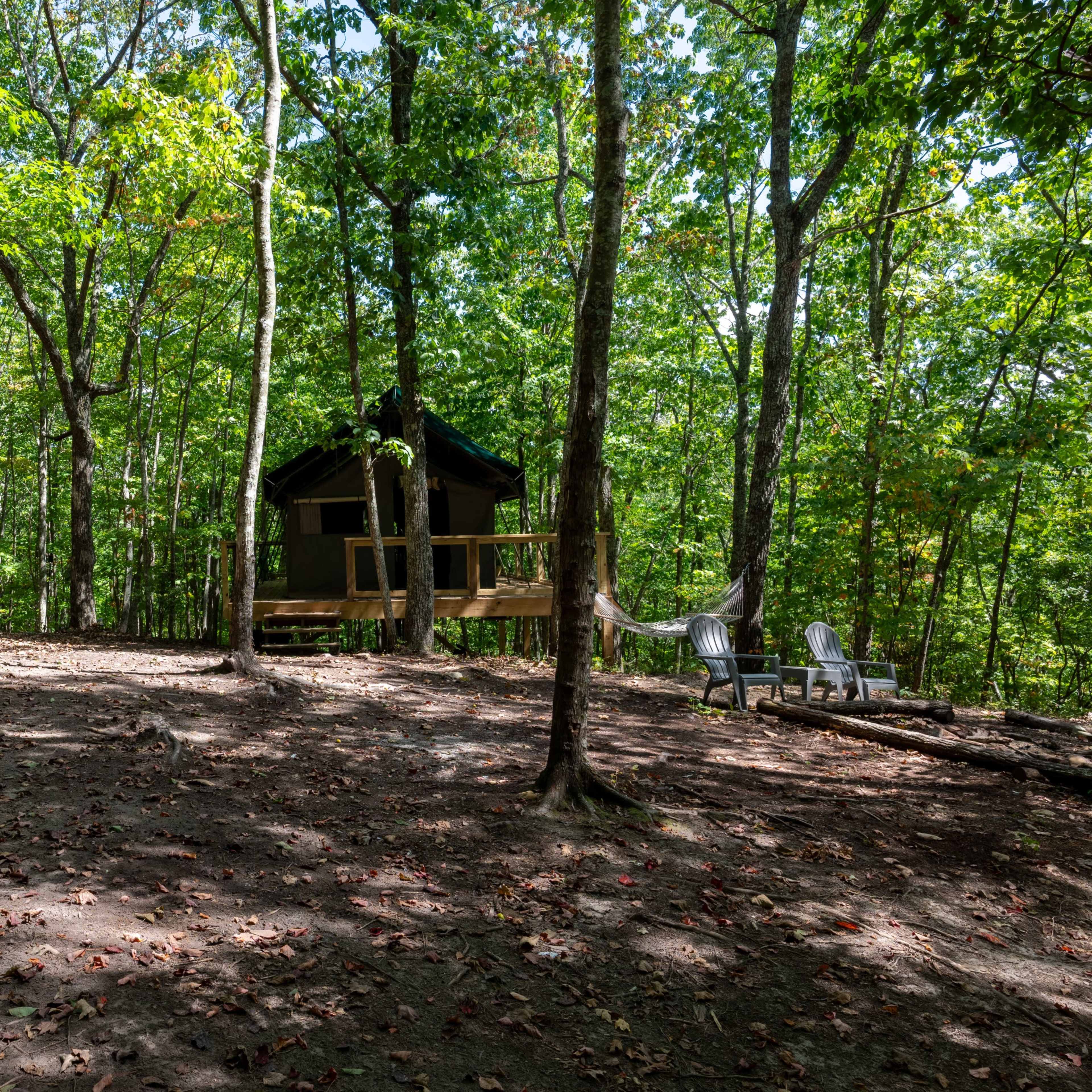 A wooden cabin in a forest clearing surrounded by trees and a few outdoor seating areas.