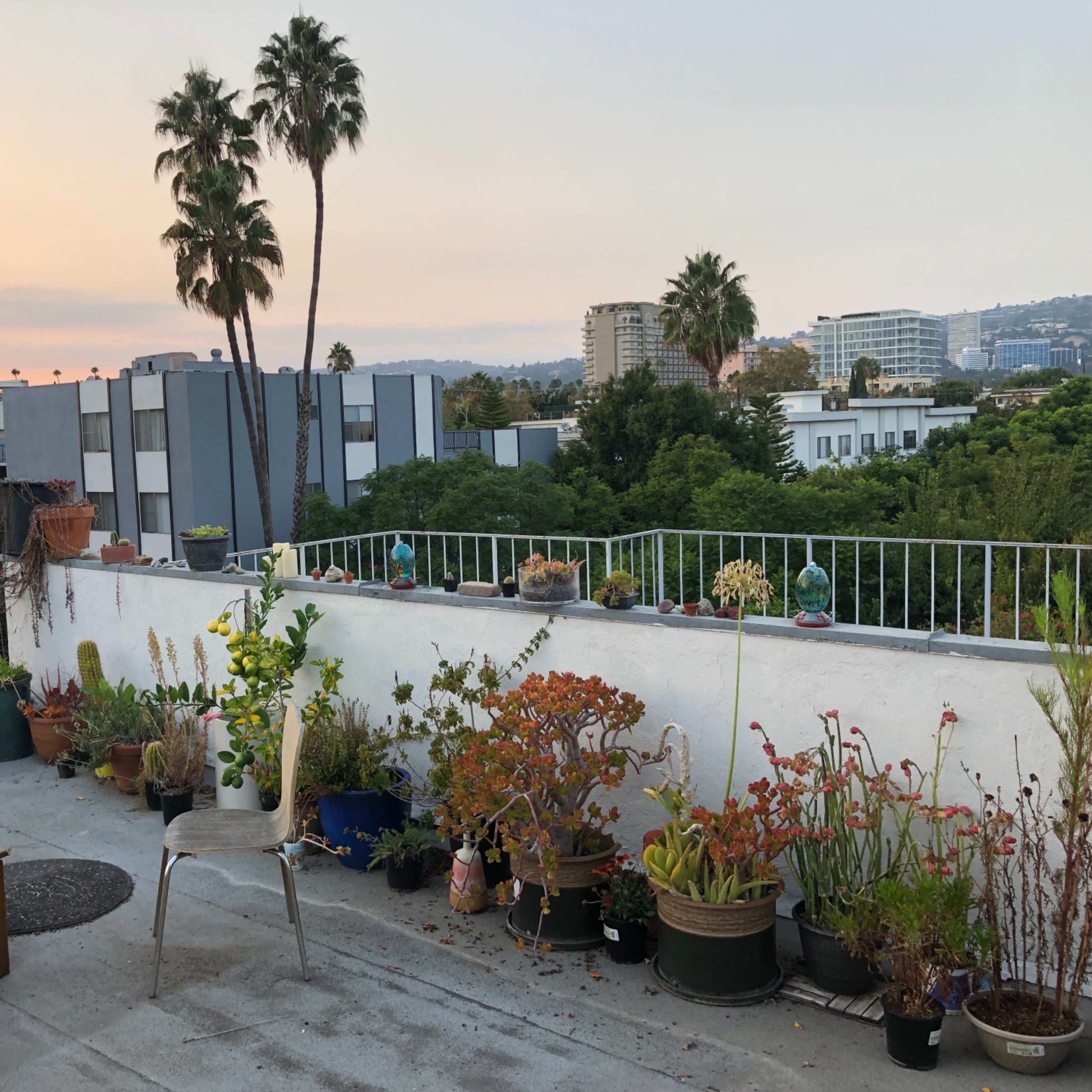 Beverly Hills Penthouse with Entire Rooftop and Unlimited Natural Light Image in Beverly Hills, Beverly Hills, CA