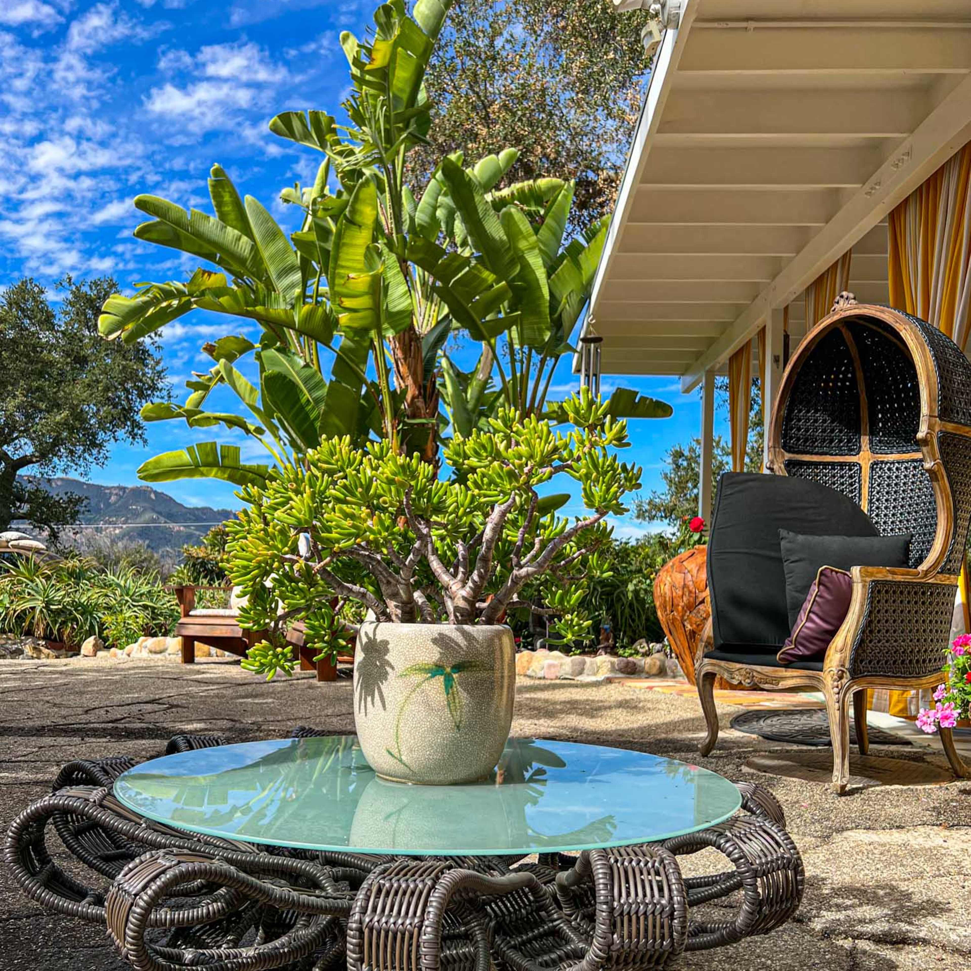 A glass-top coffee table with a woven base sits on a stone patio surrounded by potted plants and outdoor furniture.