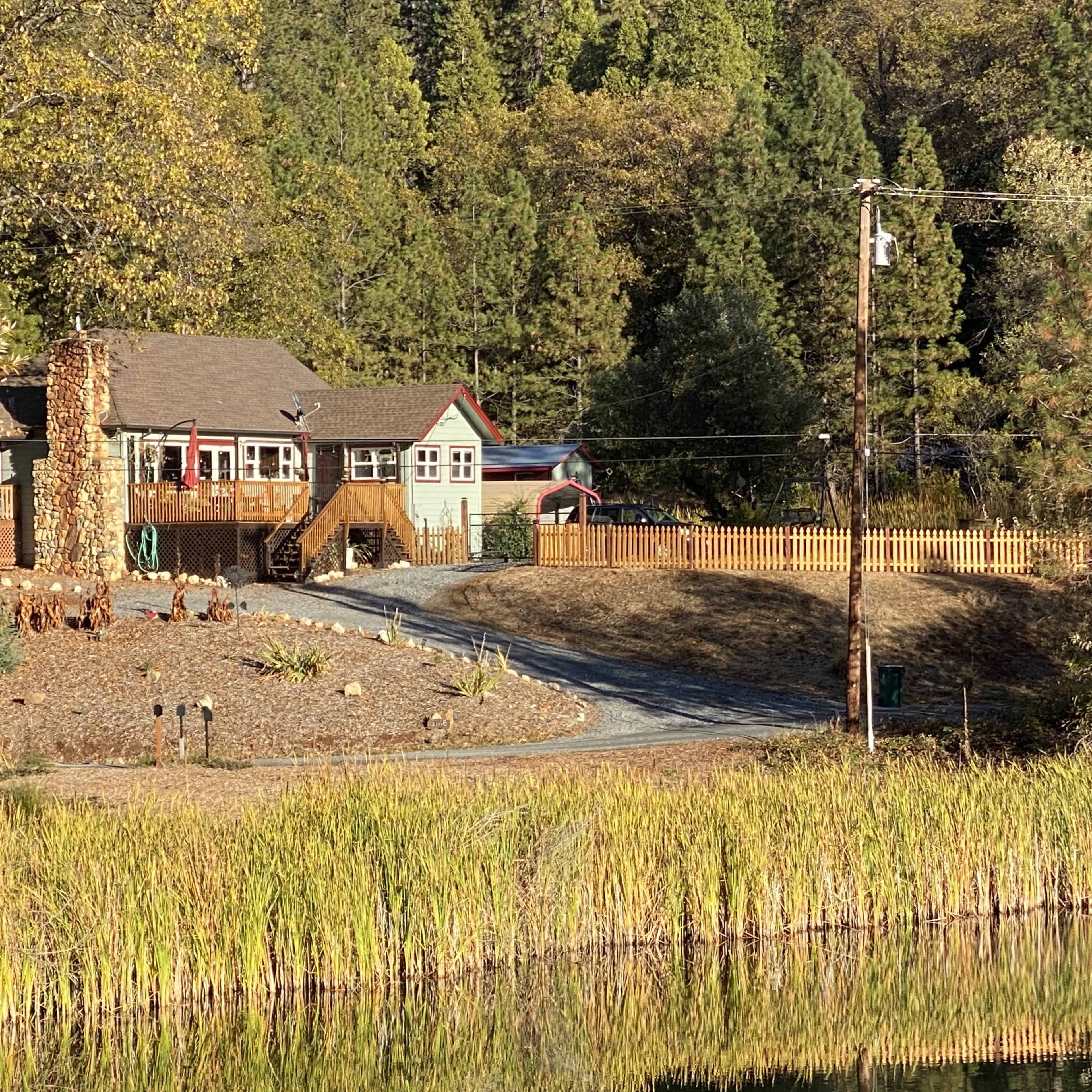A house with a stone chimney is situated near a pond, surrounded by trees and tall grass.
