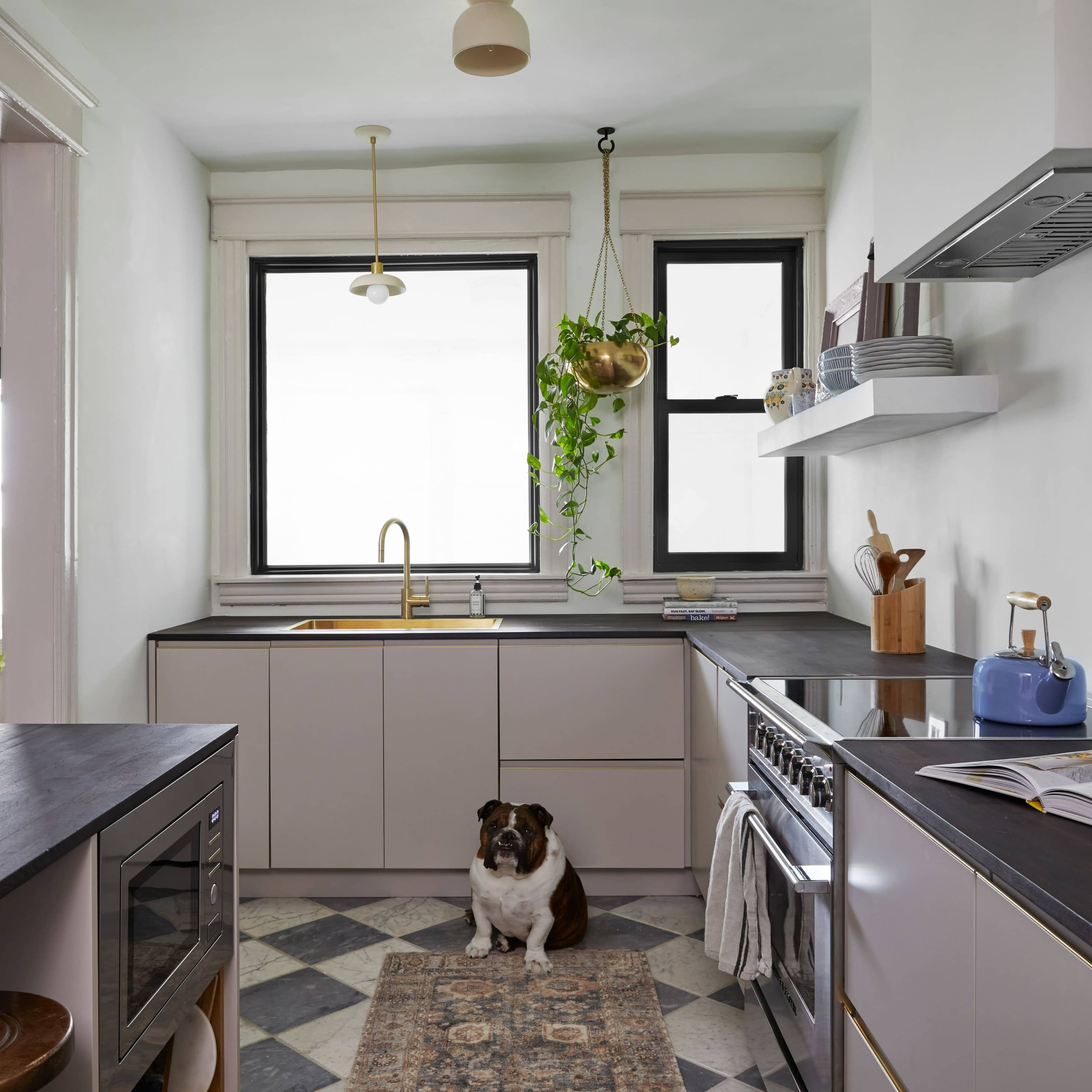 A modern kitchen features a dog sitting on a patterned rug, with light-colored cabinets, a sink under a window, and a mix of appliances and plants.