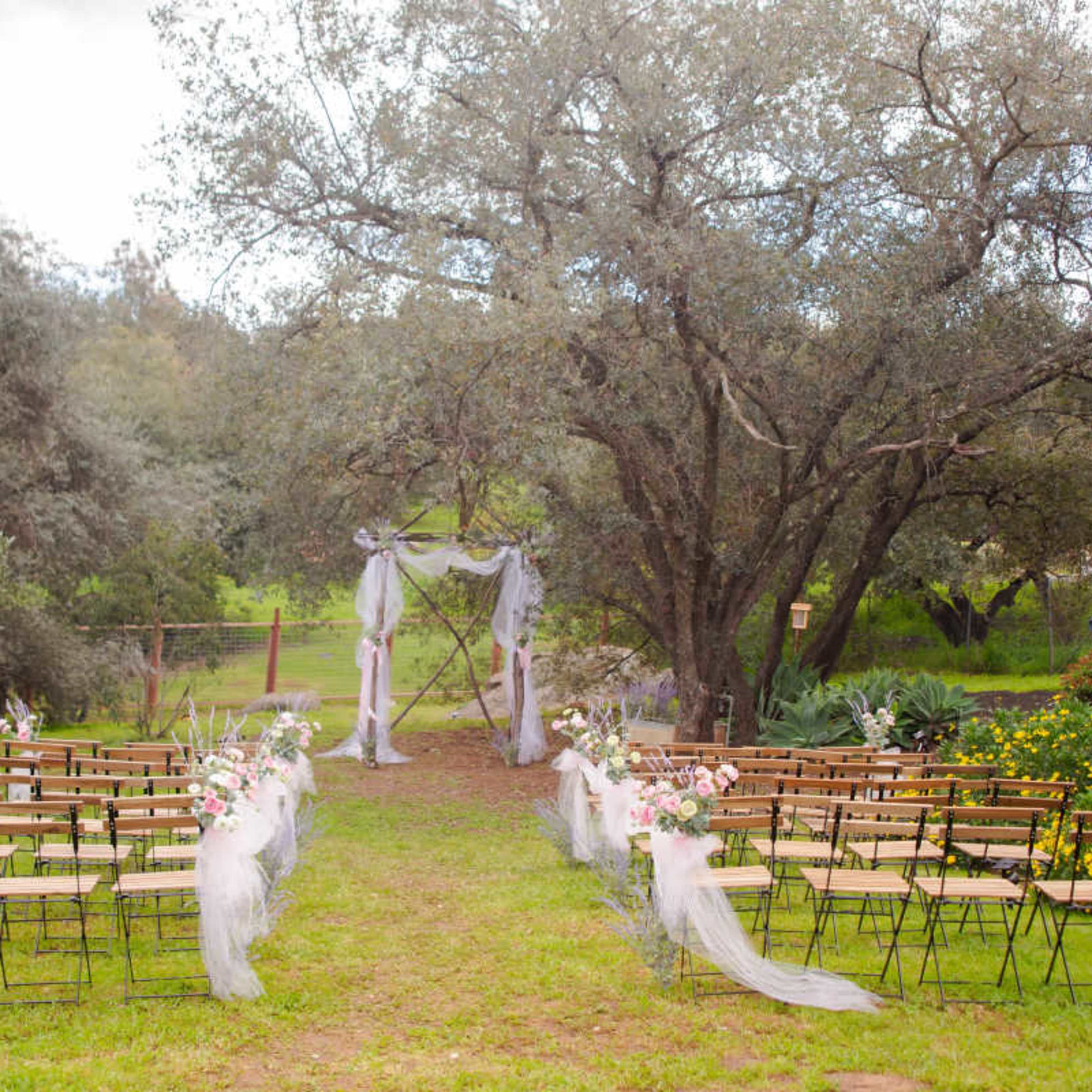 A wedding ceremony setup with rows of chairs arranged on a grassy area under large trees, adorned with floral decorations and veils.
