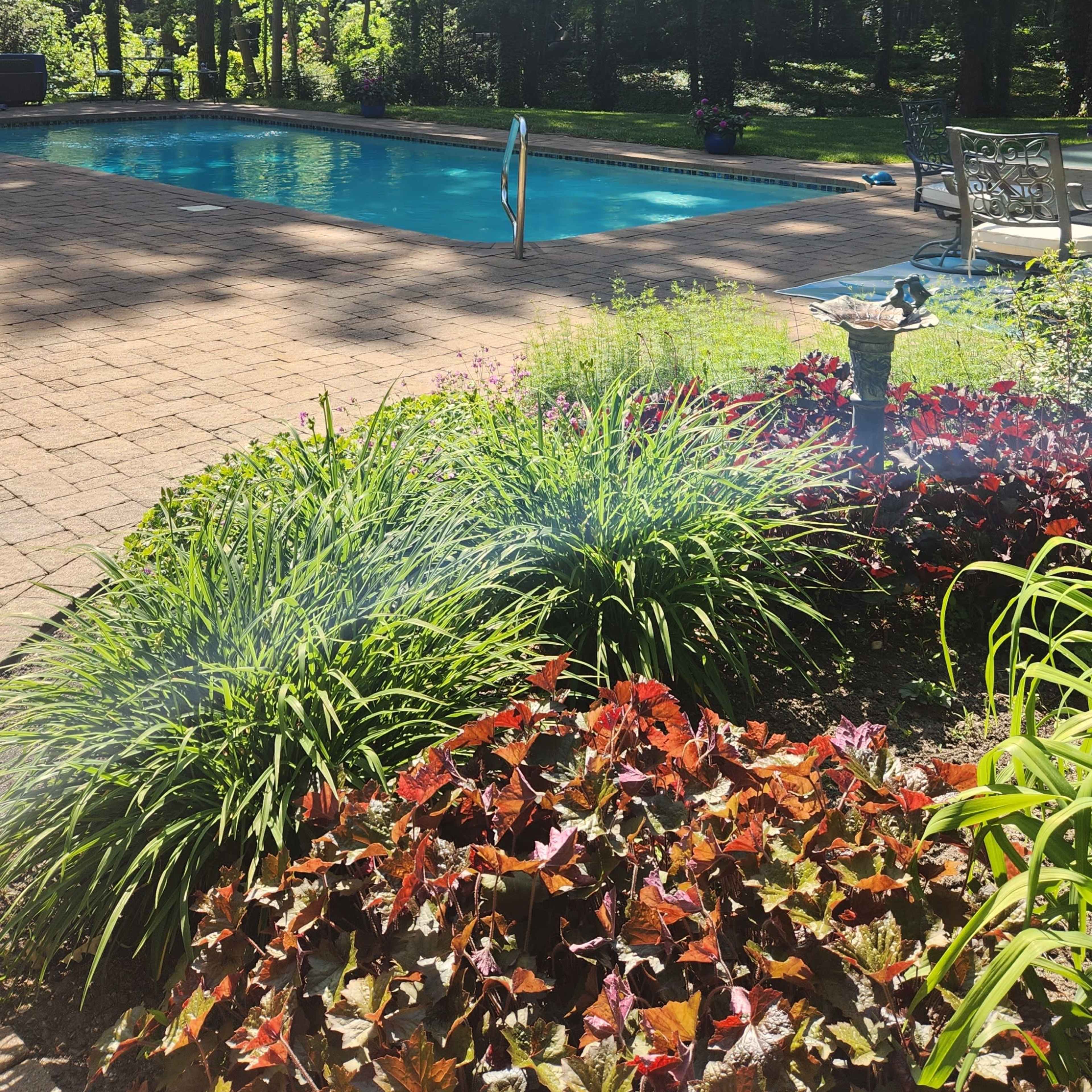 A swimming pool surrounded by lush greenery and colorful flowers on a sunny day.