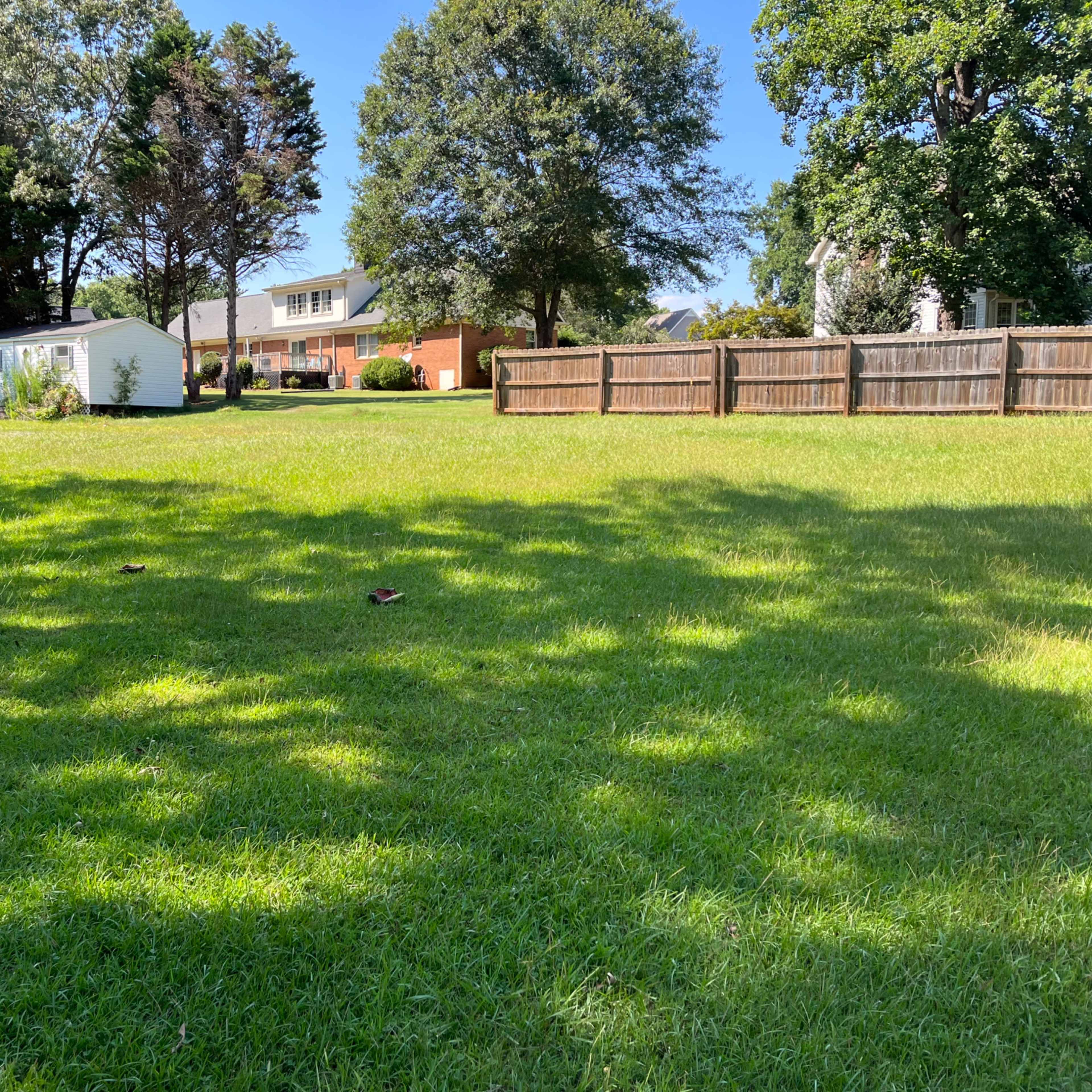 Great Blank Canvas-Semi-private, partially fenced, partially wooded 4.4 Acre Backyard Lot Image in Powdersville, Easley, SC