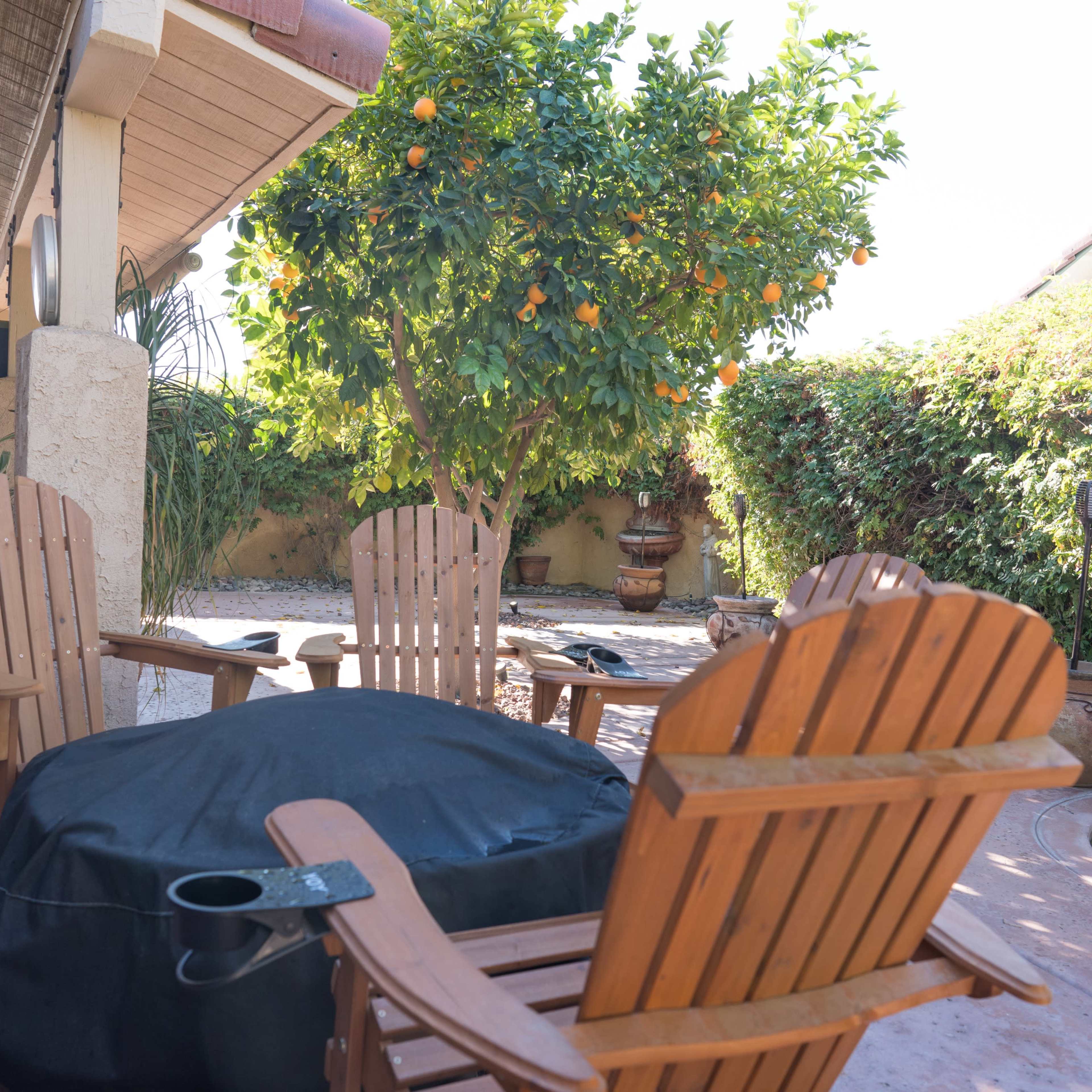 A patio area with four wooden Adirondack chairs arranged around a covered seating space, framed by greenery and an orange tree.