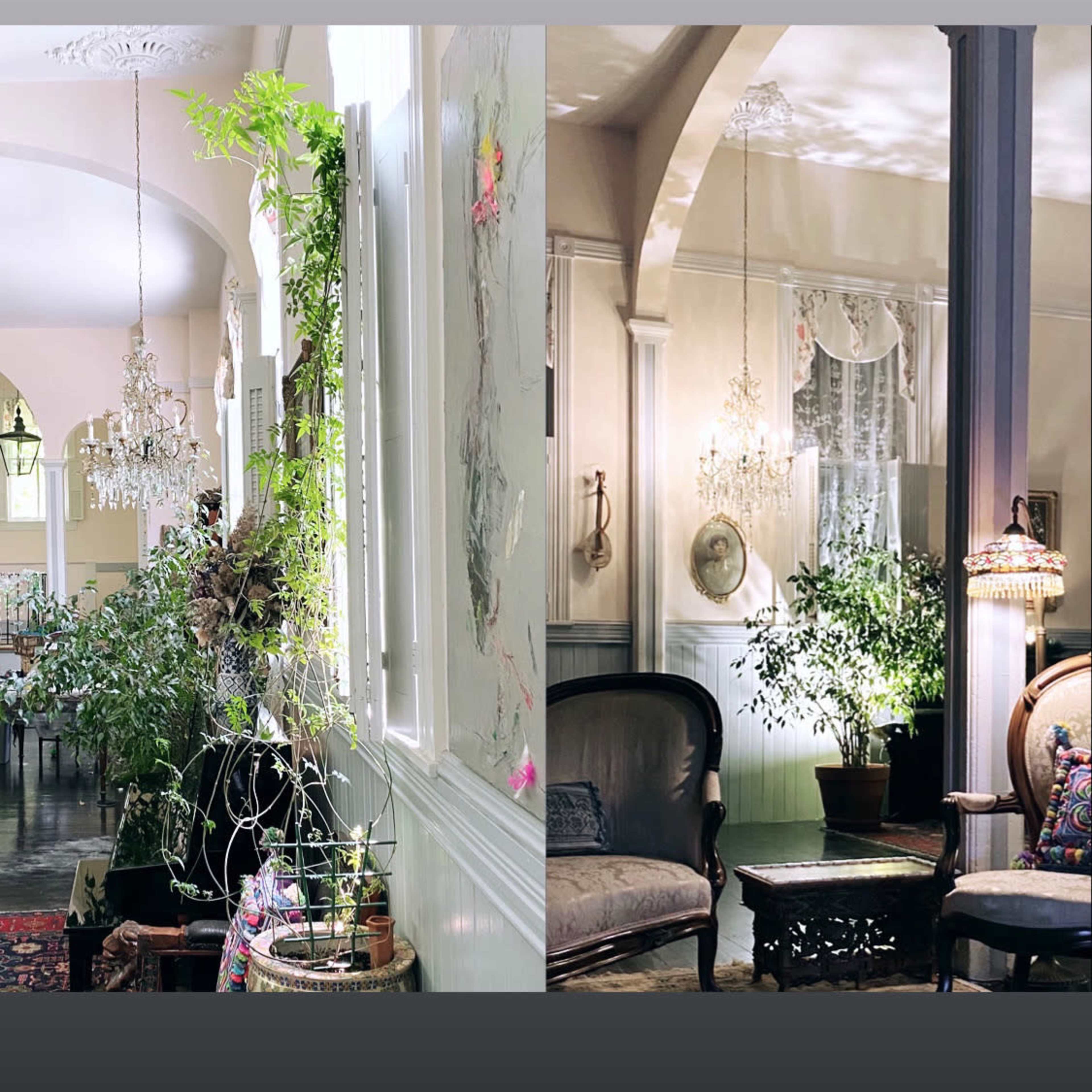 A bright, elegantly decorated living space with plants, chandeliers, and vintage furniture.