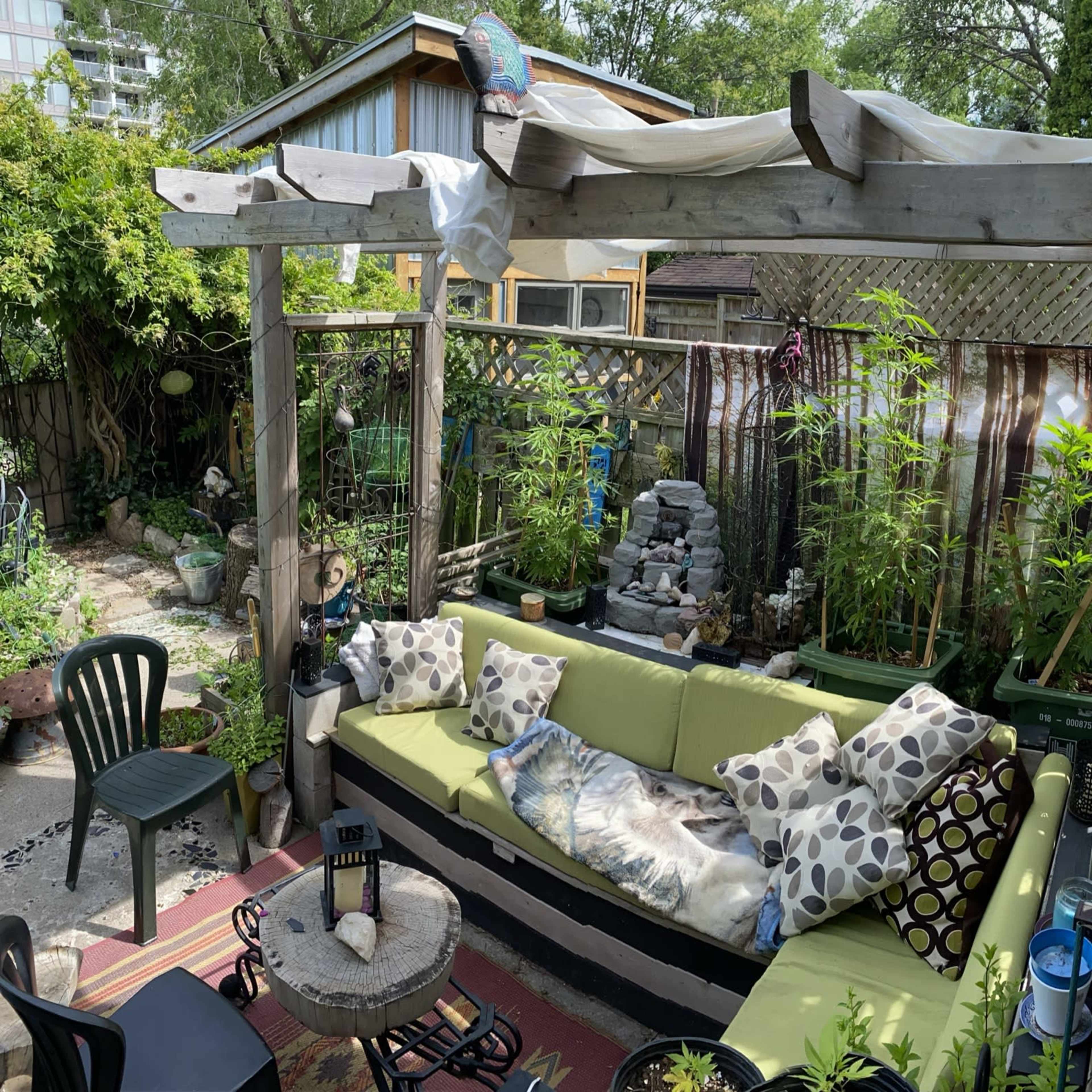 A cozy outdoor seating area surrounded by various plants, featuring a large green couch adorned with patterned cushions under a wooden pergola.