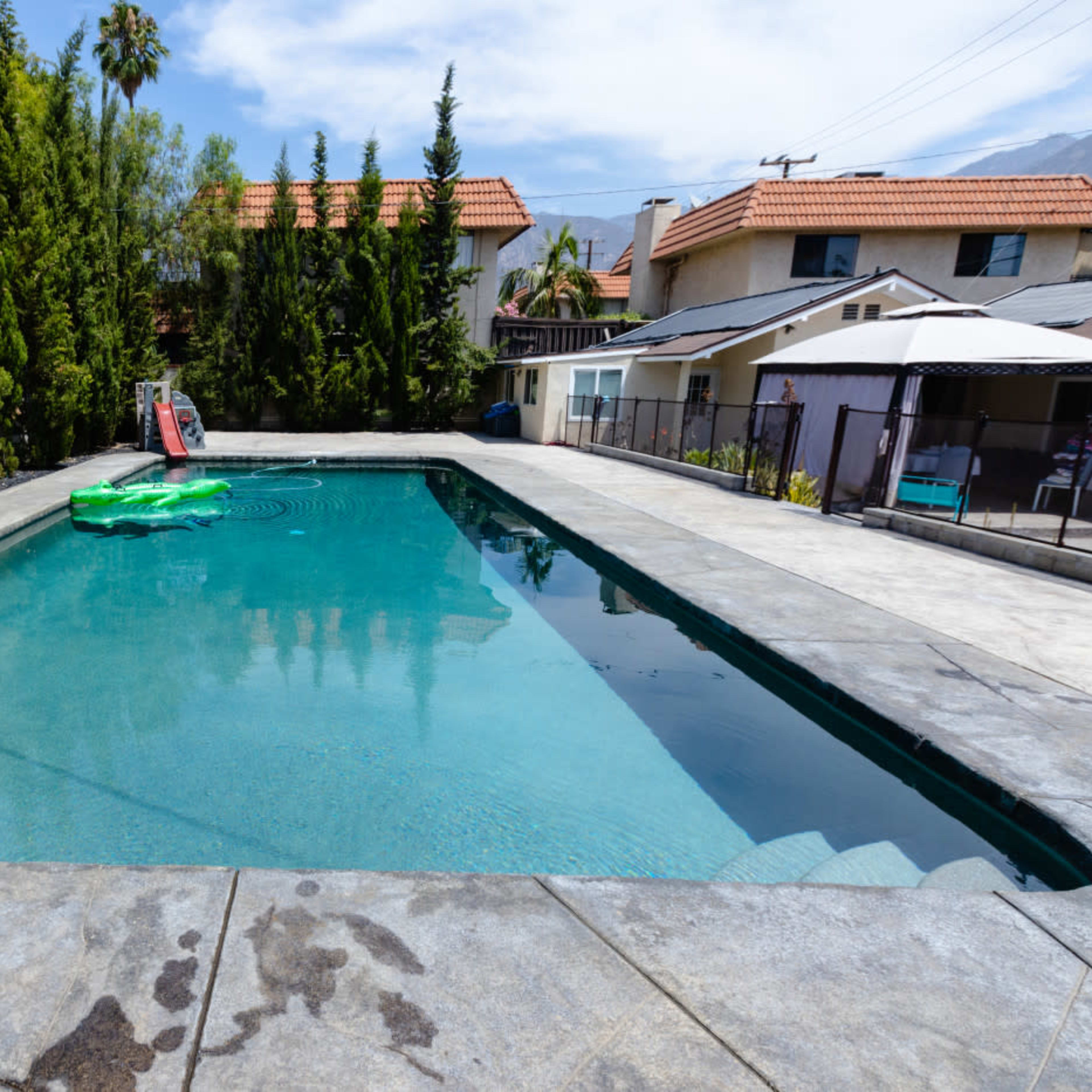 A rectangular swimming pool surrounded by tall shrubs and houses under a clear blue sky.