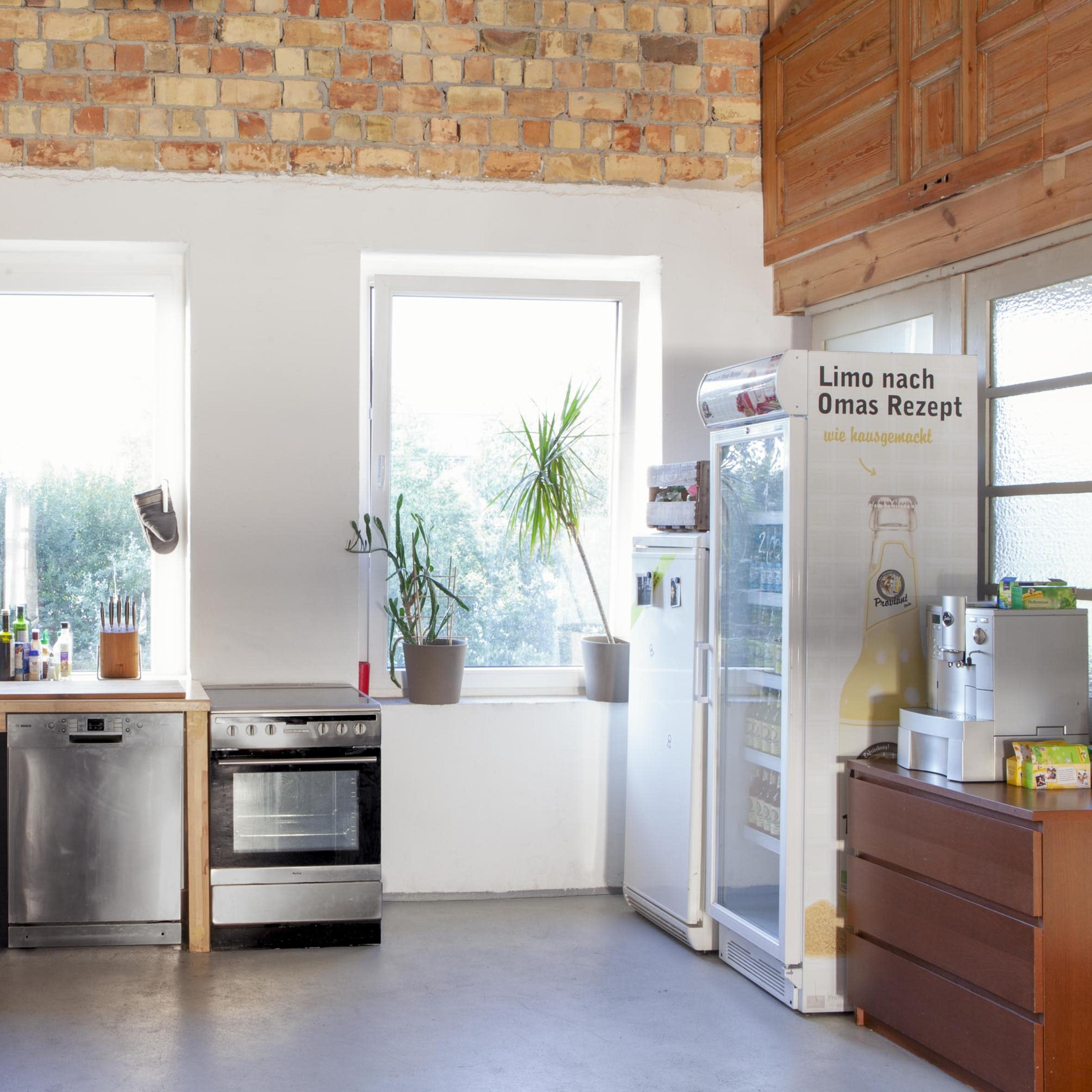 A modern kitchen features a wooden countertop, stainless steel appliances, and large windows with plants on the sill.