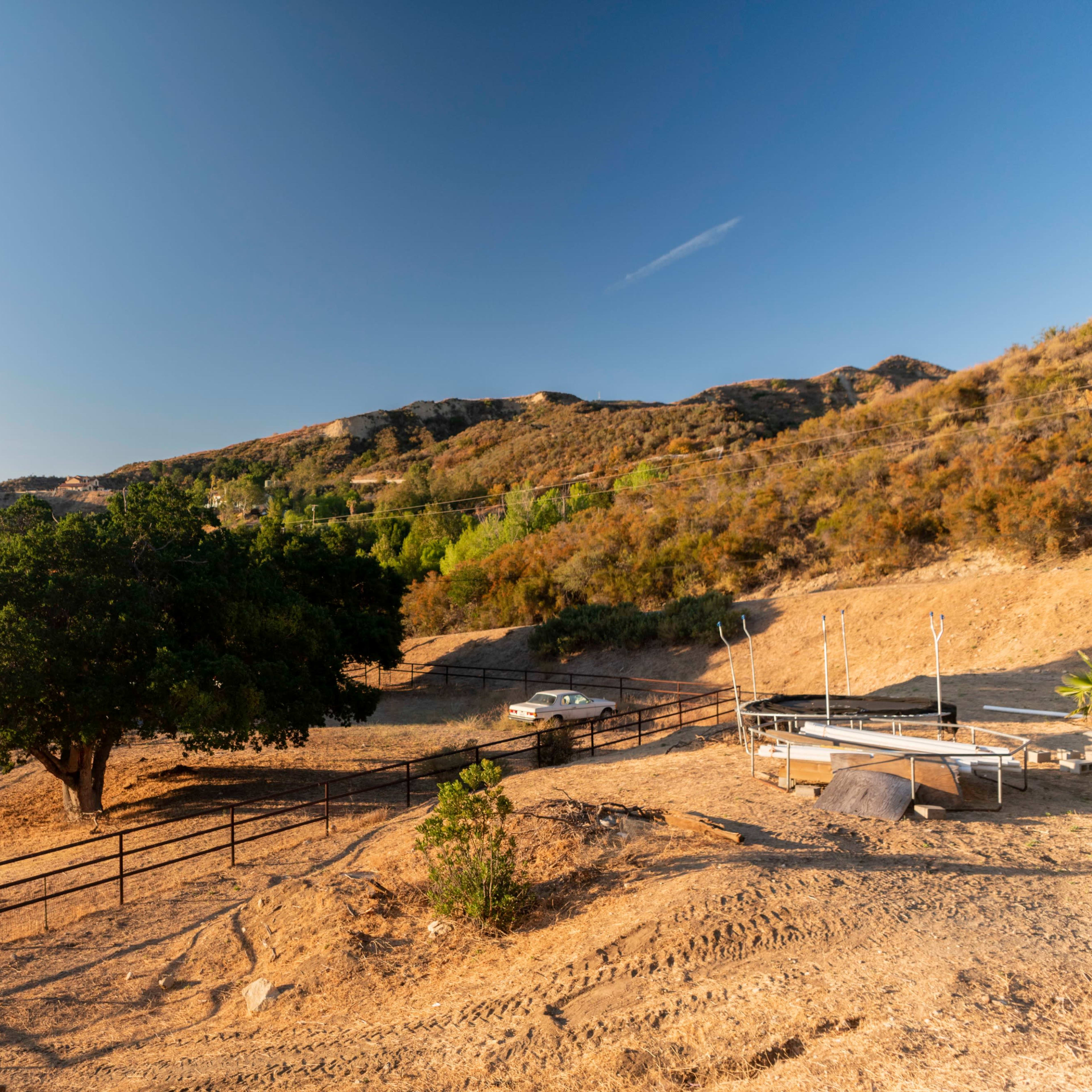 A large oak tree stands in a dry landscape with scattered vehicles and rolling hills in the background.