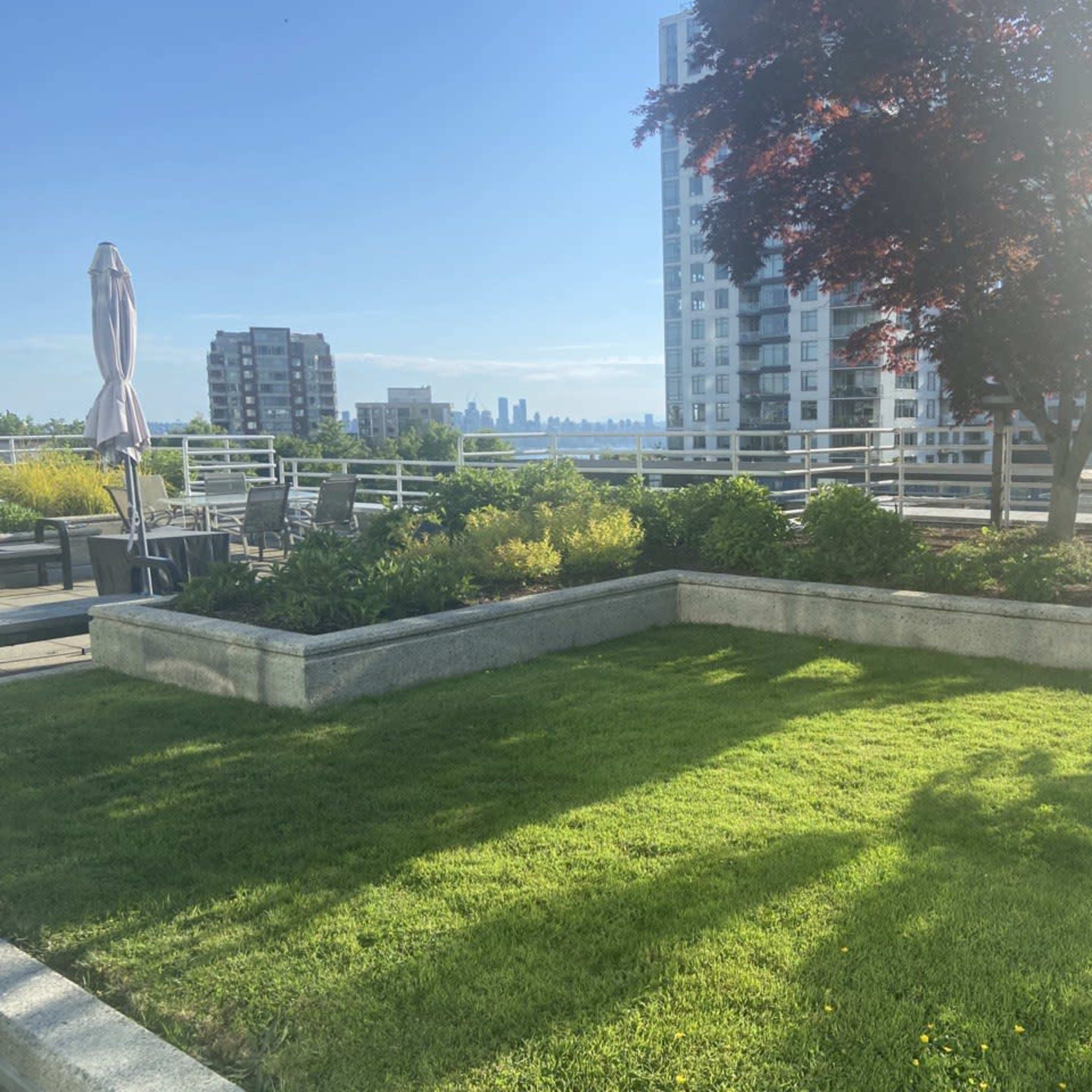 A well-maintained rooftop garden features green grass, planters, and patio furniture with a city skyline visible in the background.