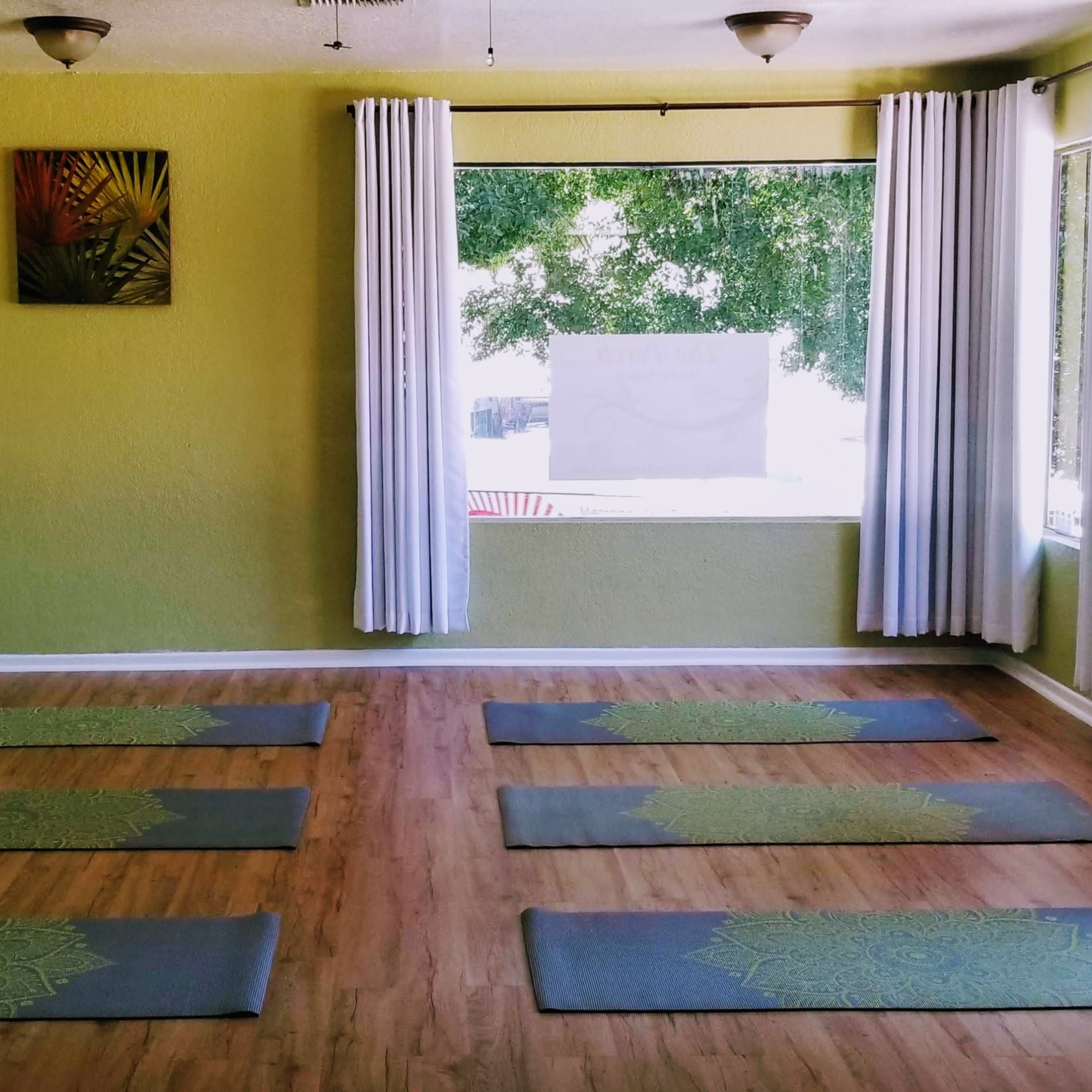 A yoga studio with green walls, wooden flooring, and six yoga mats arranged neatly on the floor near large windows.