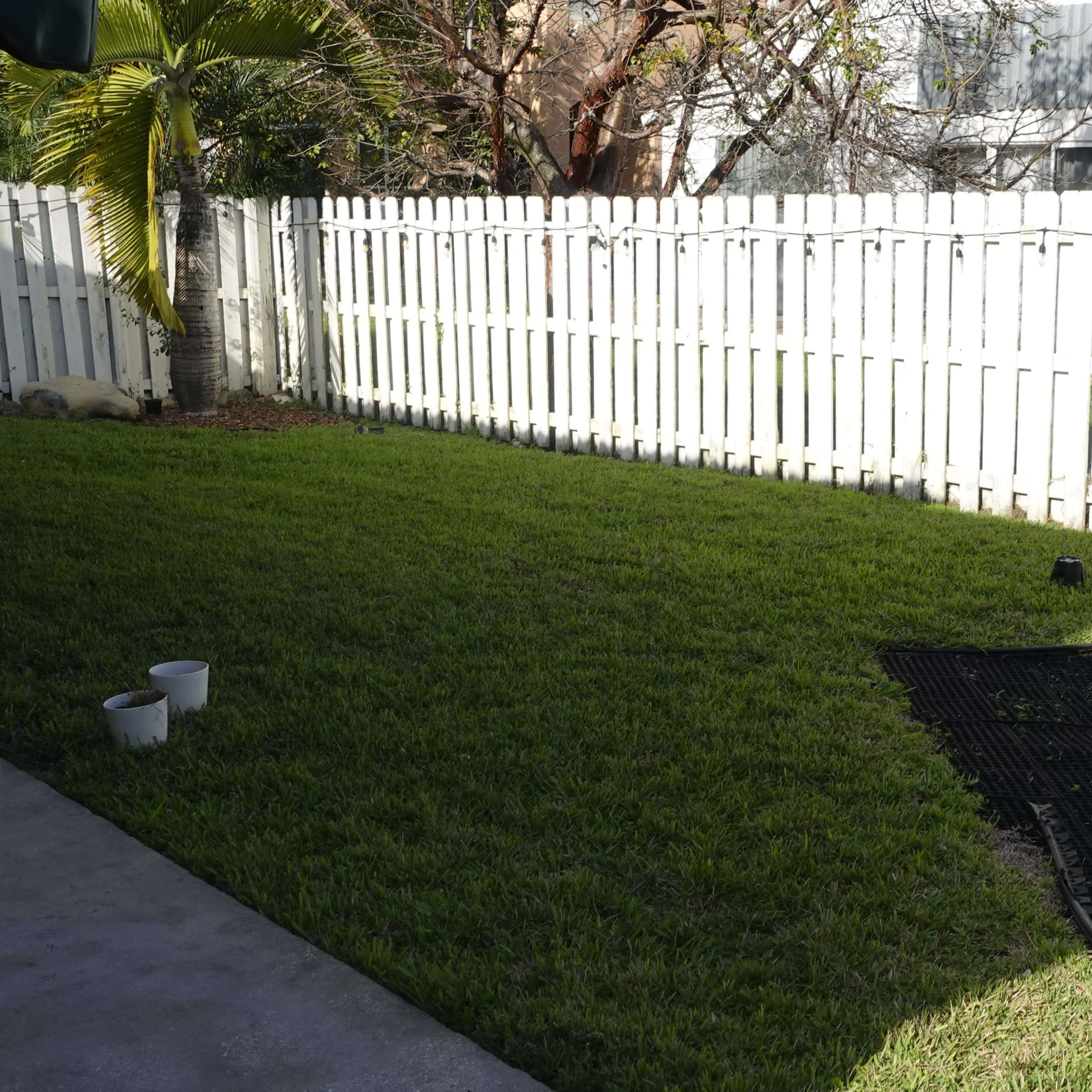 A manicured lawn with a white picket fence and a playground swing set is shown in a backyard.