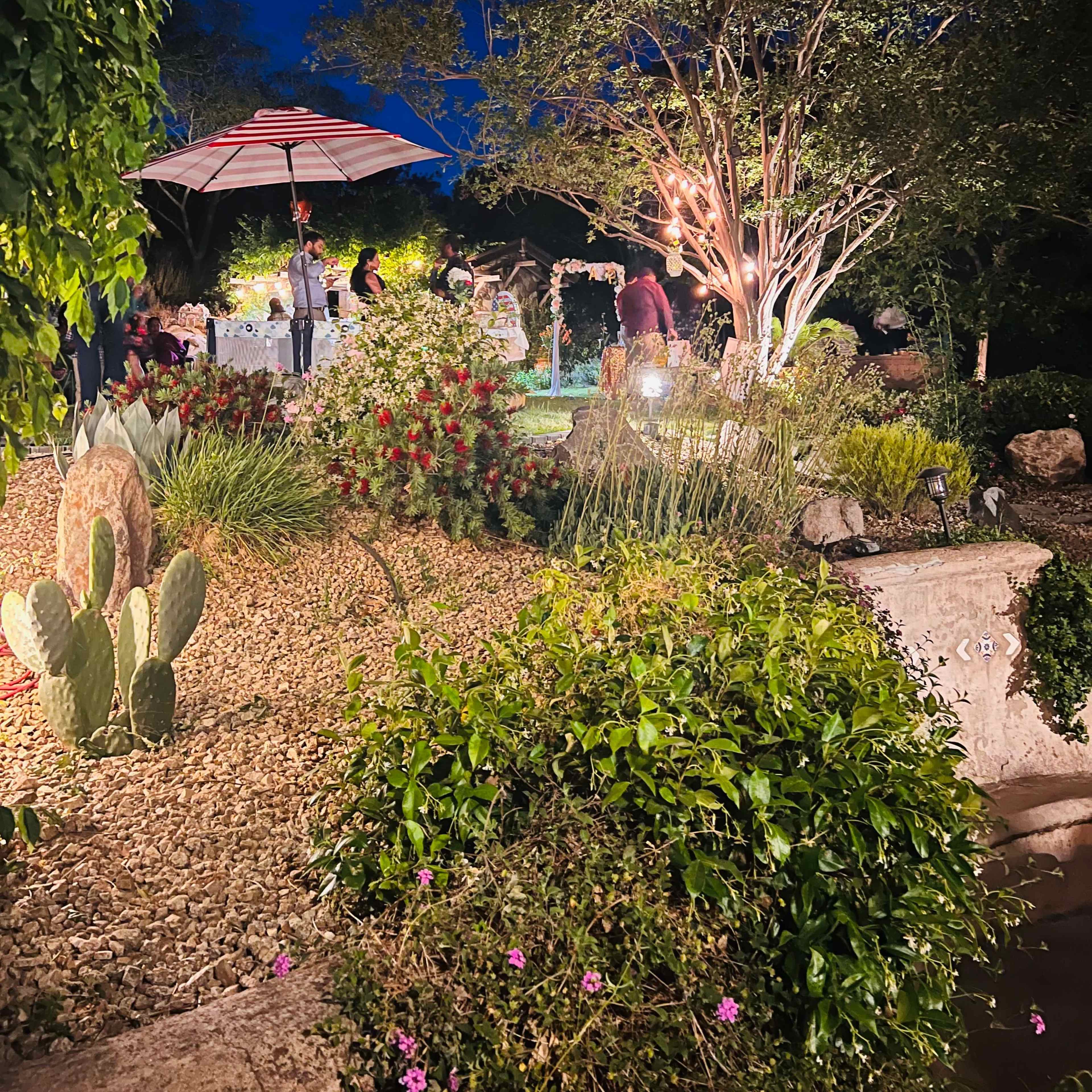 A well-lit garden scene at night features a gathering under an umbrella, surrounded by various plants and rocks.