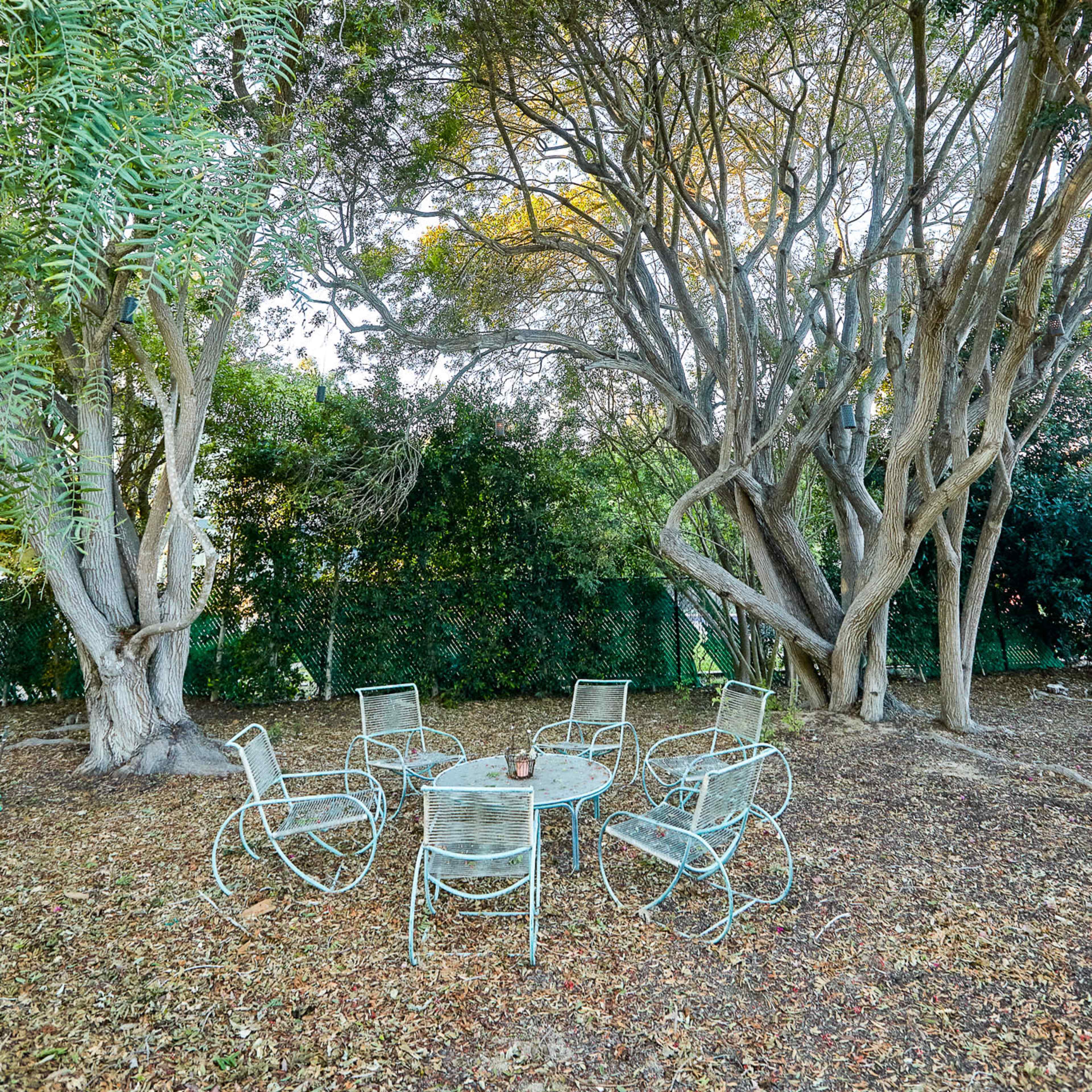 A circular arrangement of metal chairs surrounds a small table under large, overhanging trees in a grassy area.