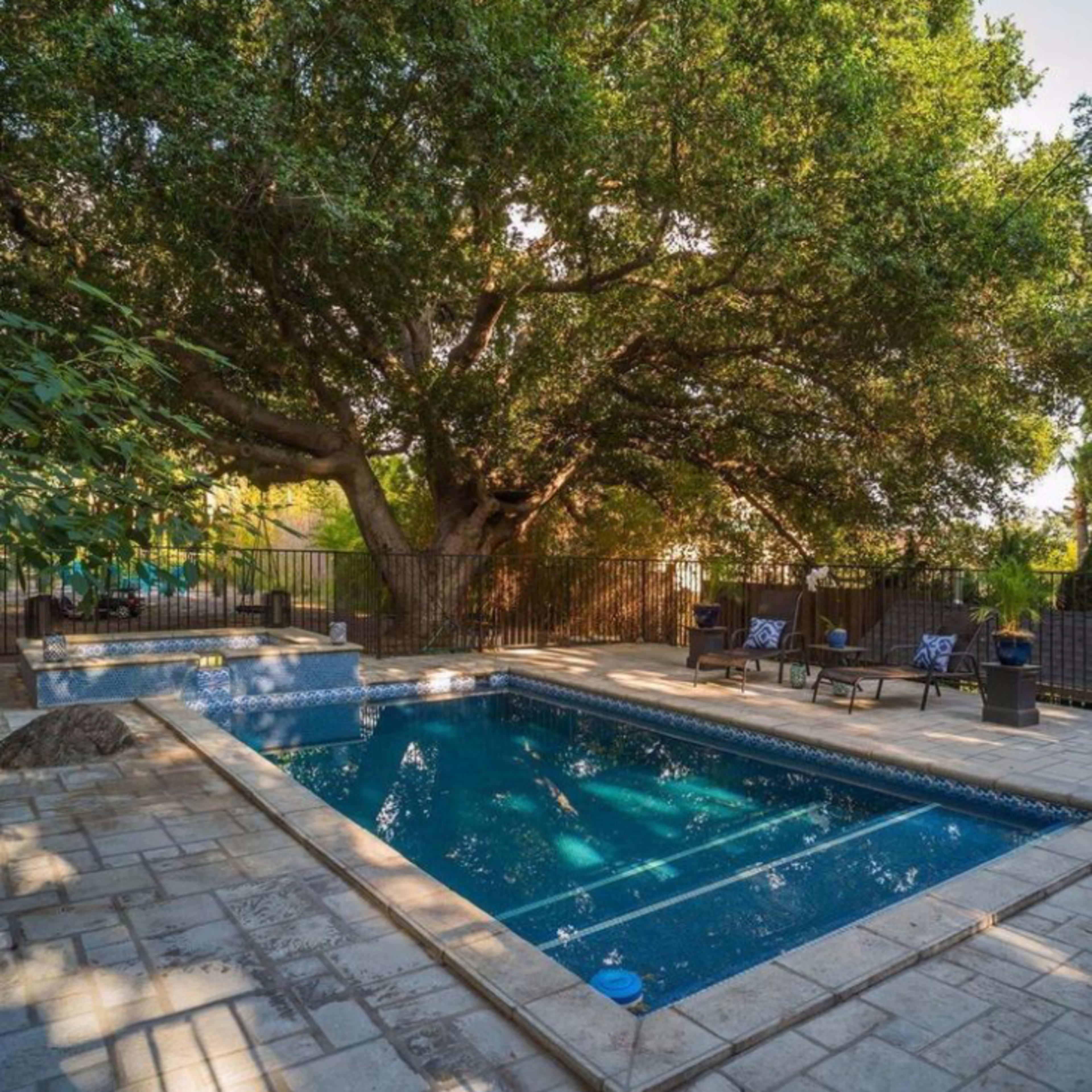 A landscaped backyard featuring a swimming pool surrounded by stone patio and chairs, under the shade of a large tree.