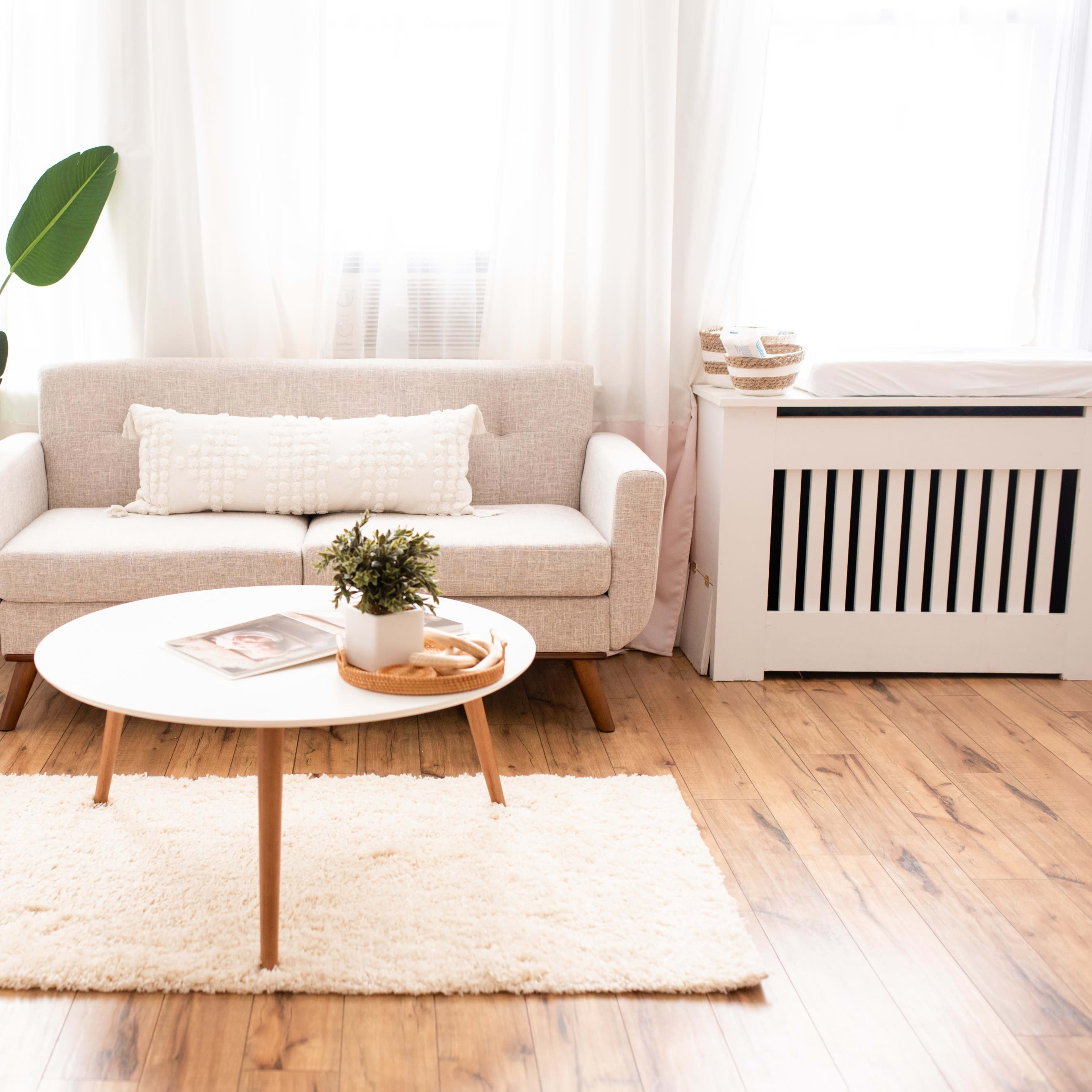 A bright living room with a light gray sofa, a round coffee table on a textured rug, and a large indoor plant beside a window.