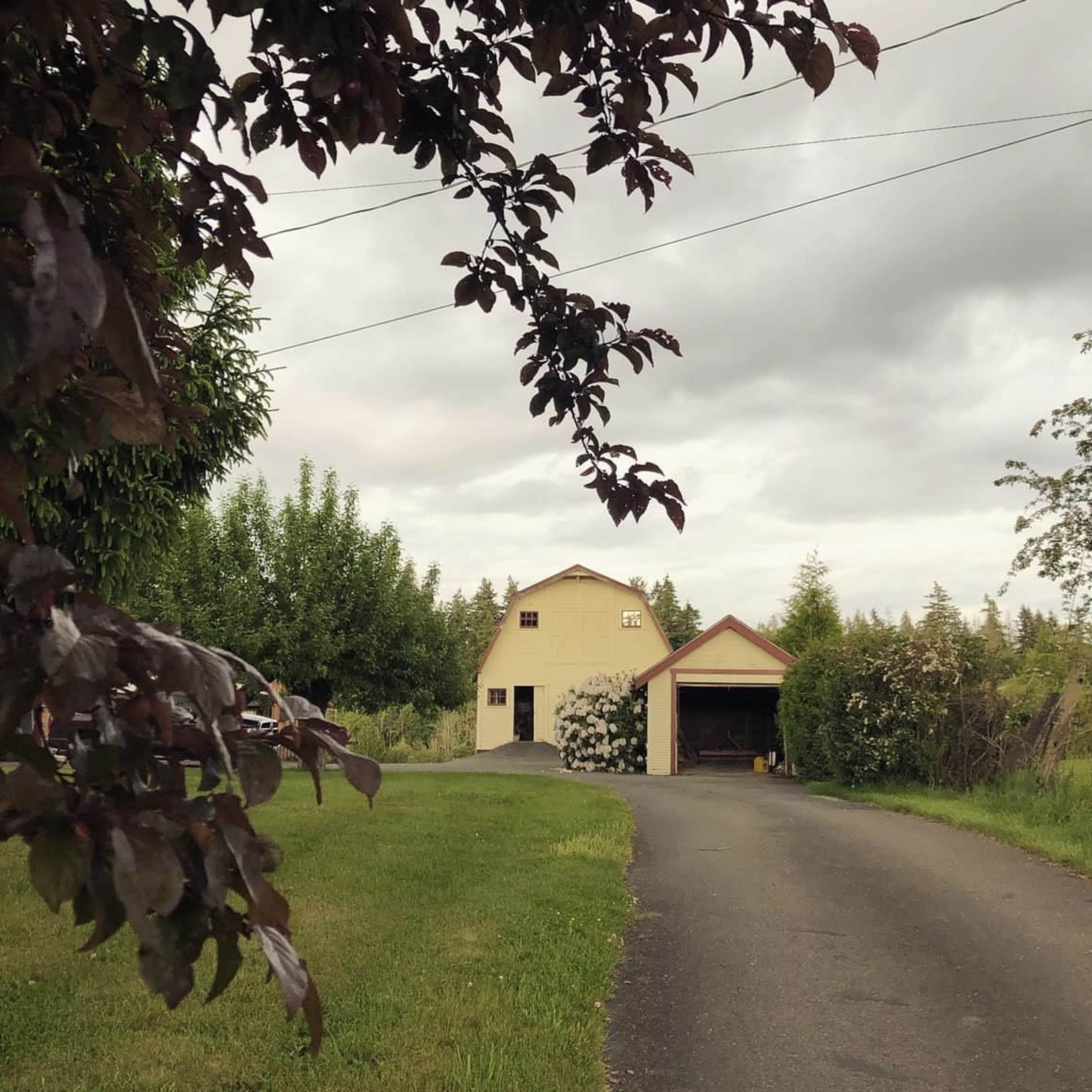 A gravel driveway leads to a yellow barn with a brown roof and an adjacent garage, framed by trees and cloudy skies.
