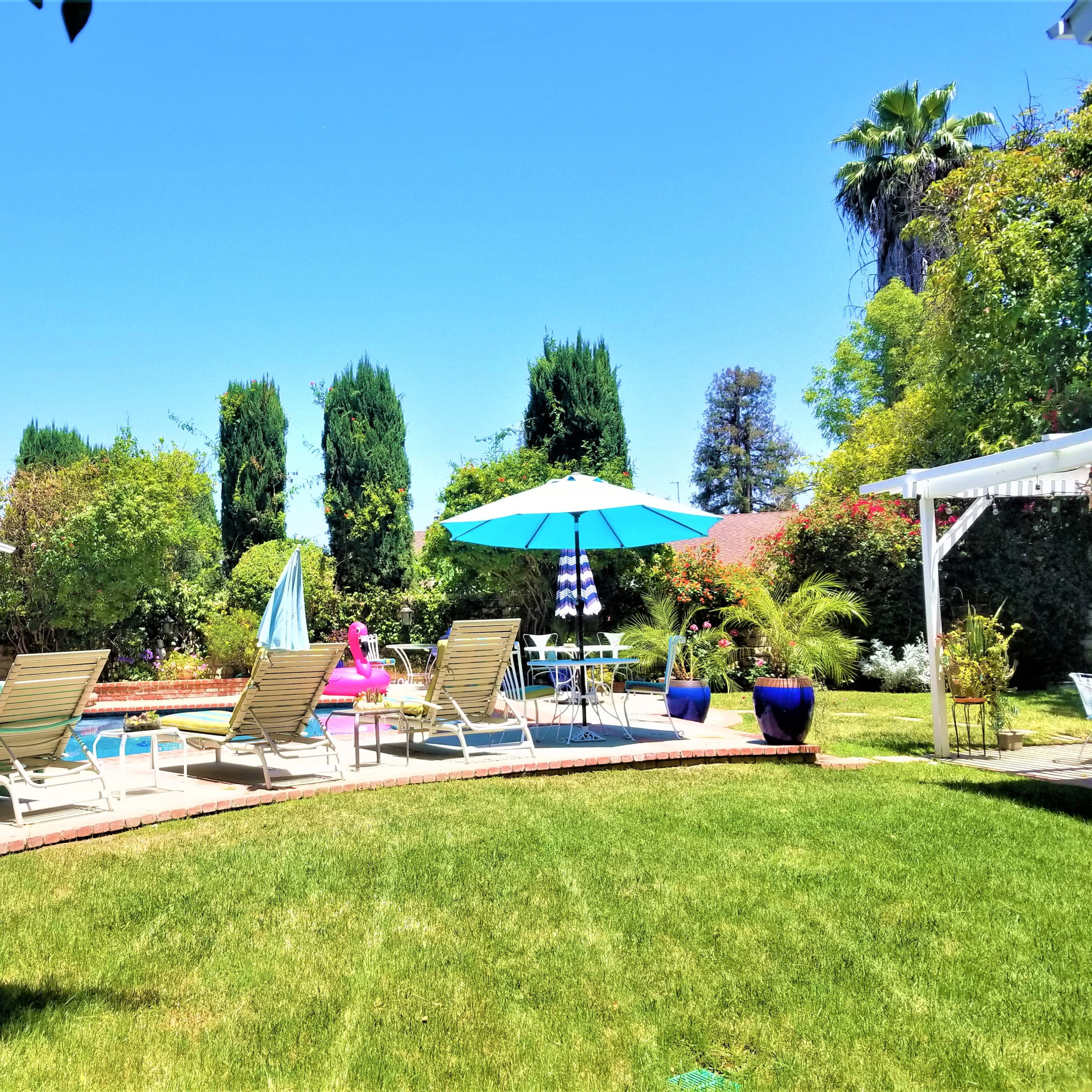 A landscaped backyard features a swimming pool with lounge chairs, an umbrella, and garden plants.