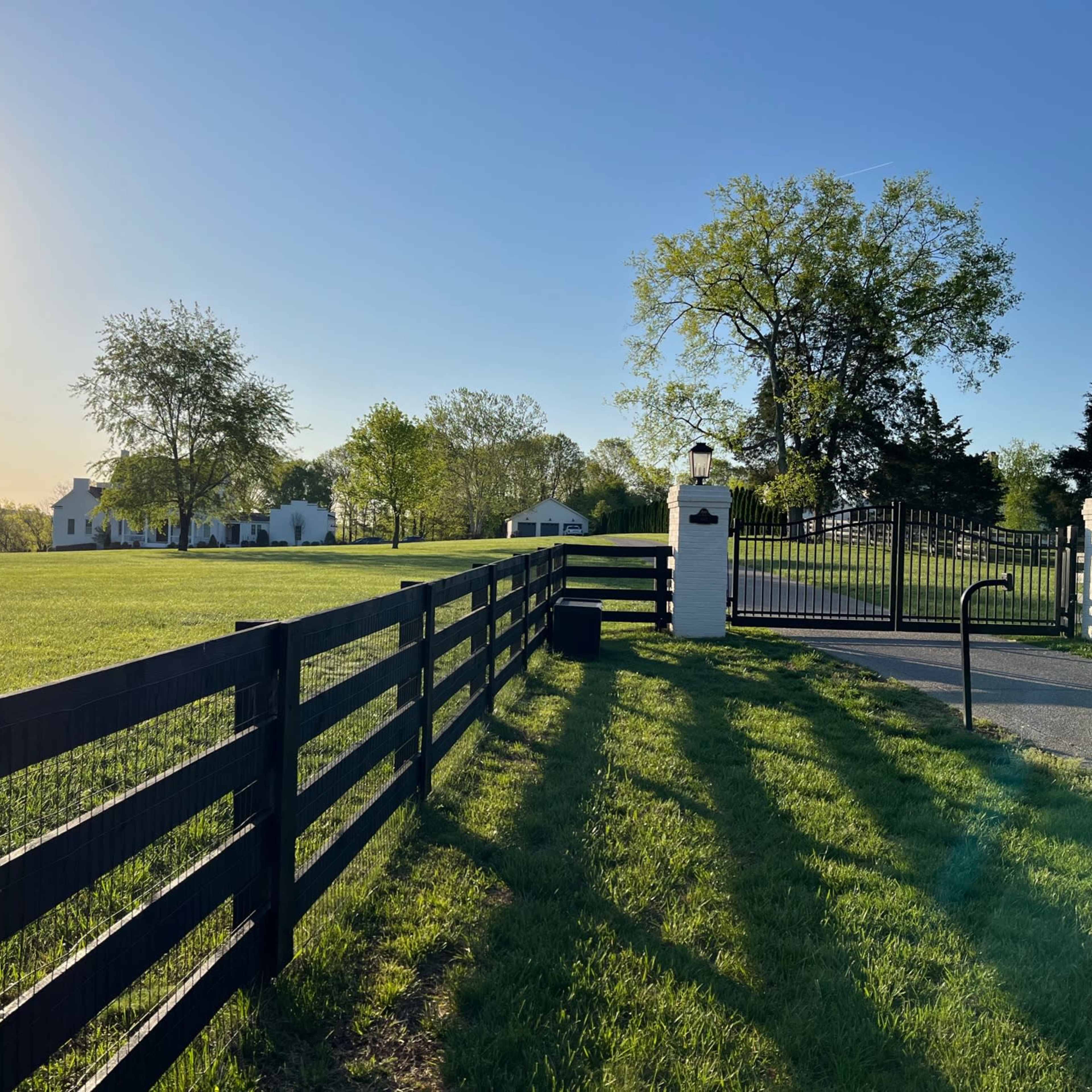 A black fence lines a driveway leading to a gated entrance, with lush green grass and trees surrounding a white house in the background under a clear sky.