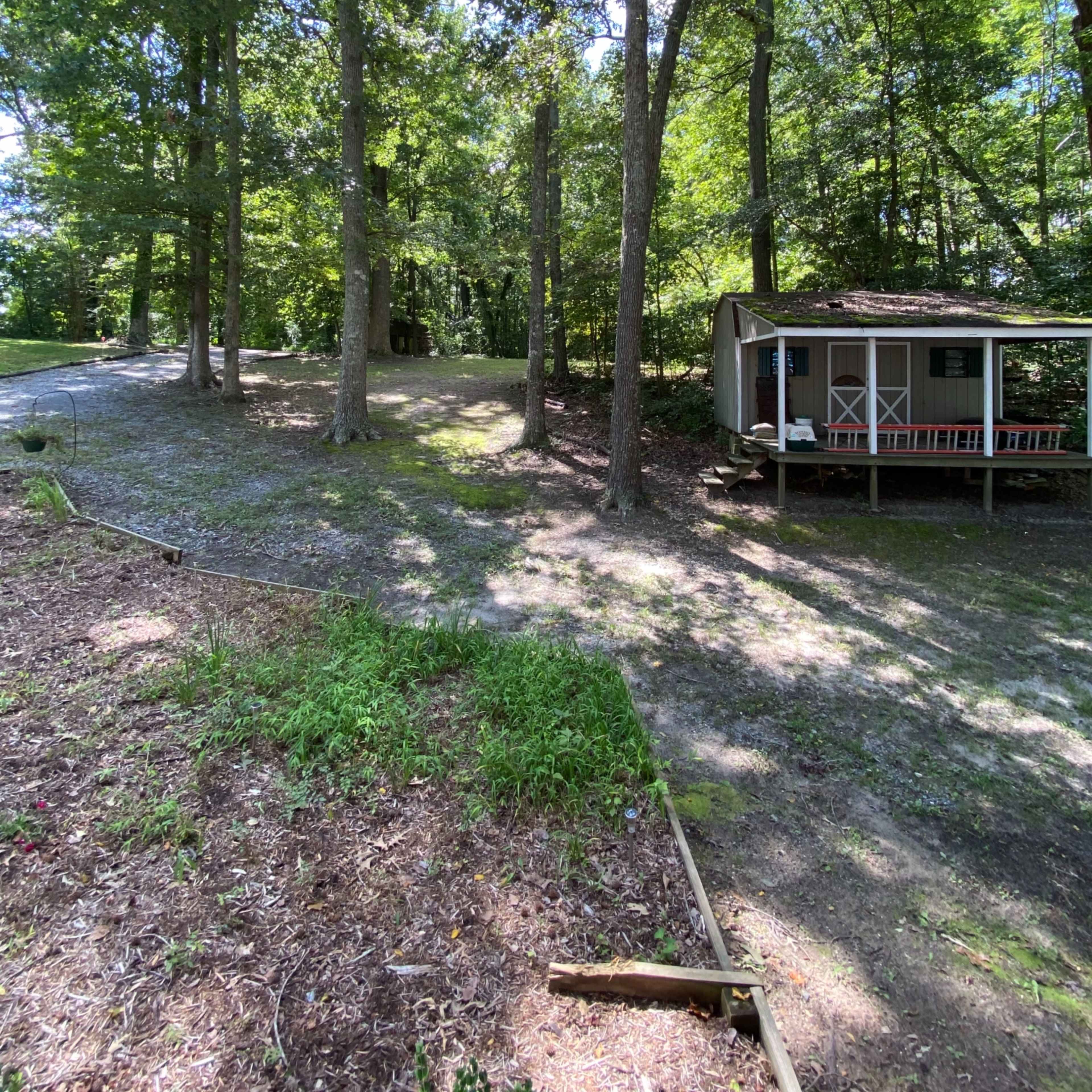 A small cabin with a porch is situated among tall trees in a wooded area.