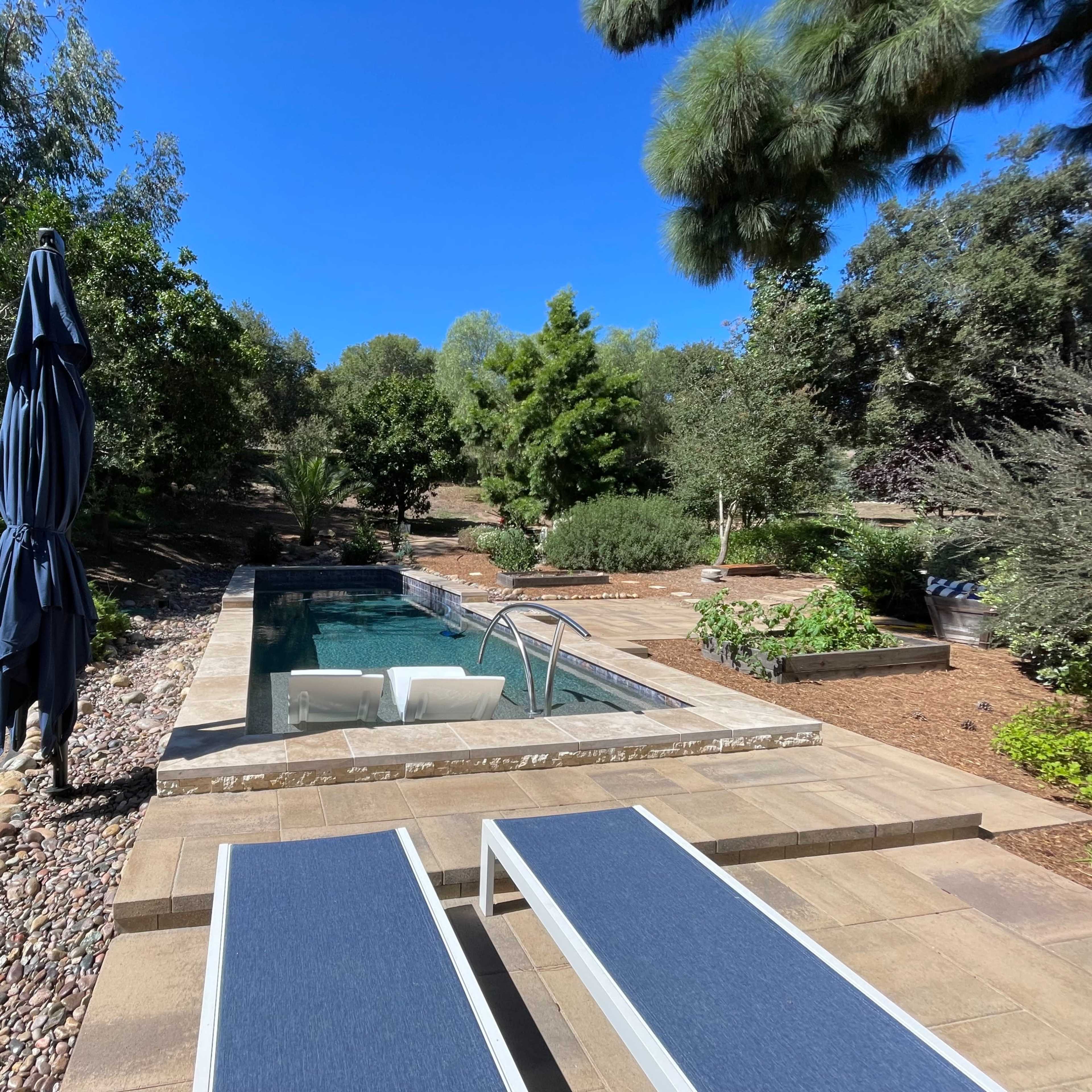 A backyard with a swimming pool, two lounge chairs, and a large umbrella surrounded by greenery and trees.