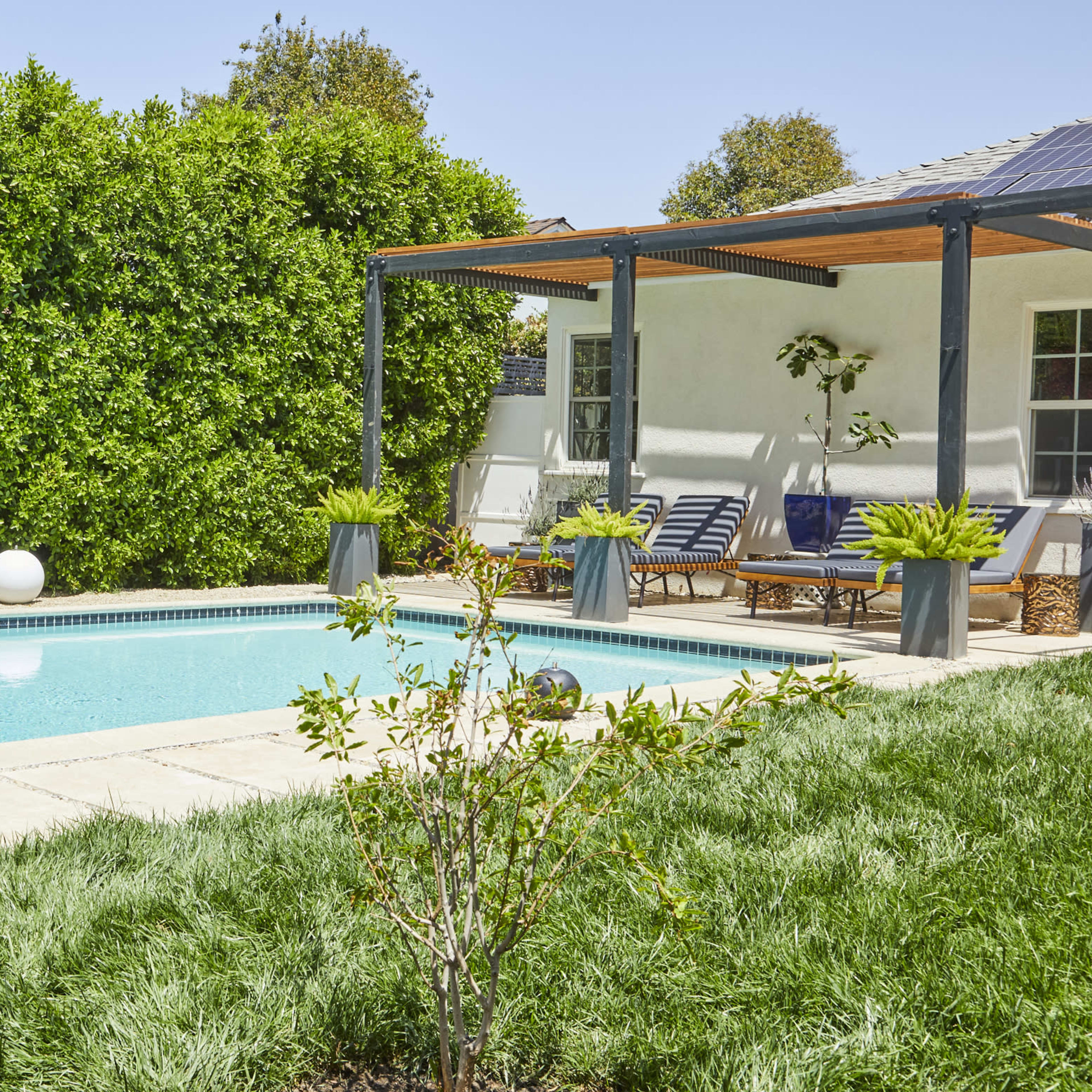 A swimming pool surrounded by green grass and potted plants is featured next to a covered patio with lounge chairs.