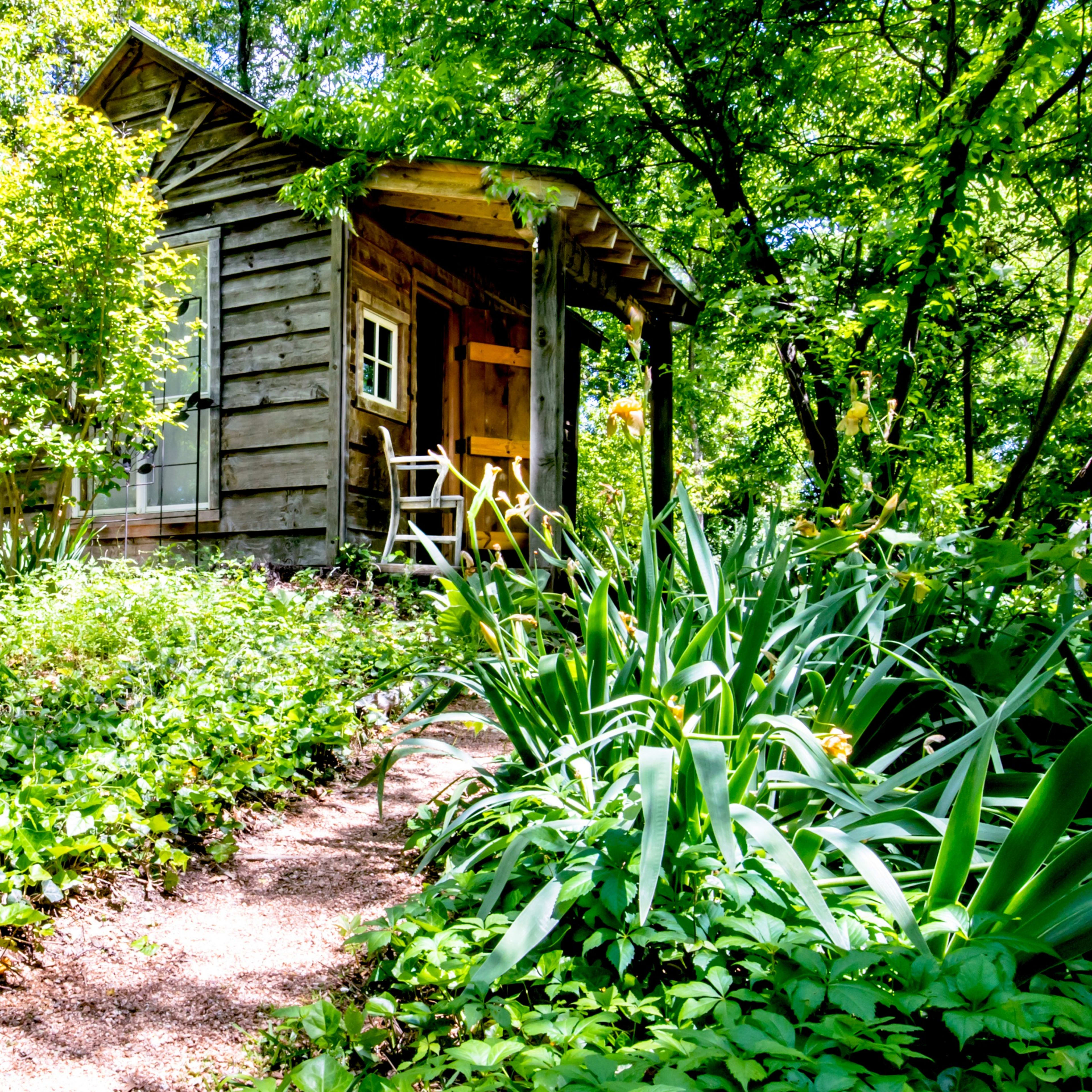 A small wooden cabin surrounded by lush greenery and a pathway lined with plants.
