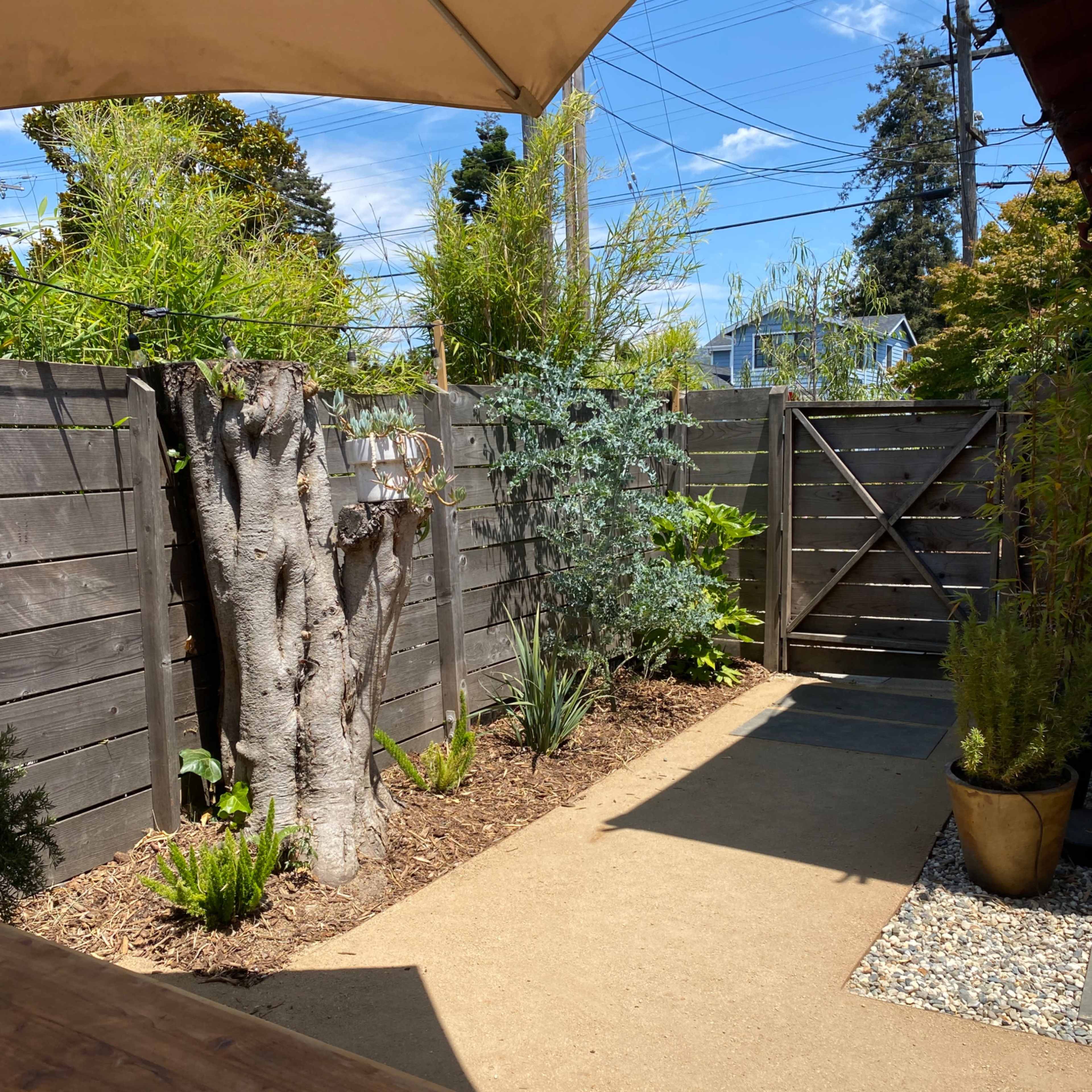 A concrete pathway leads through a well-maintained garden with various plants and a wooden fence under a clear blue sky.