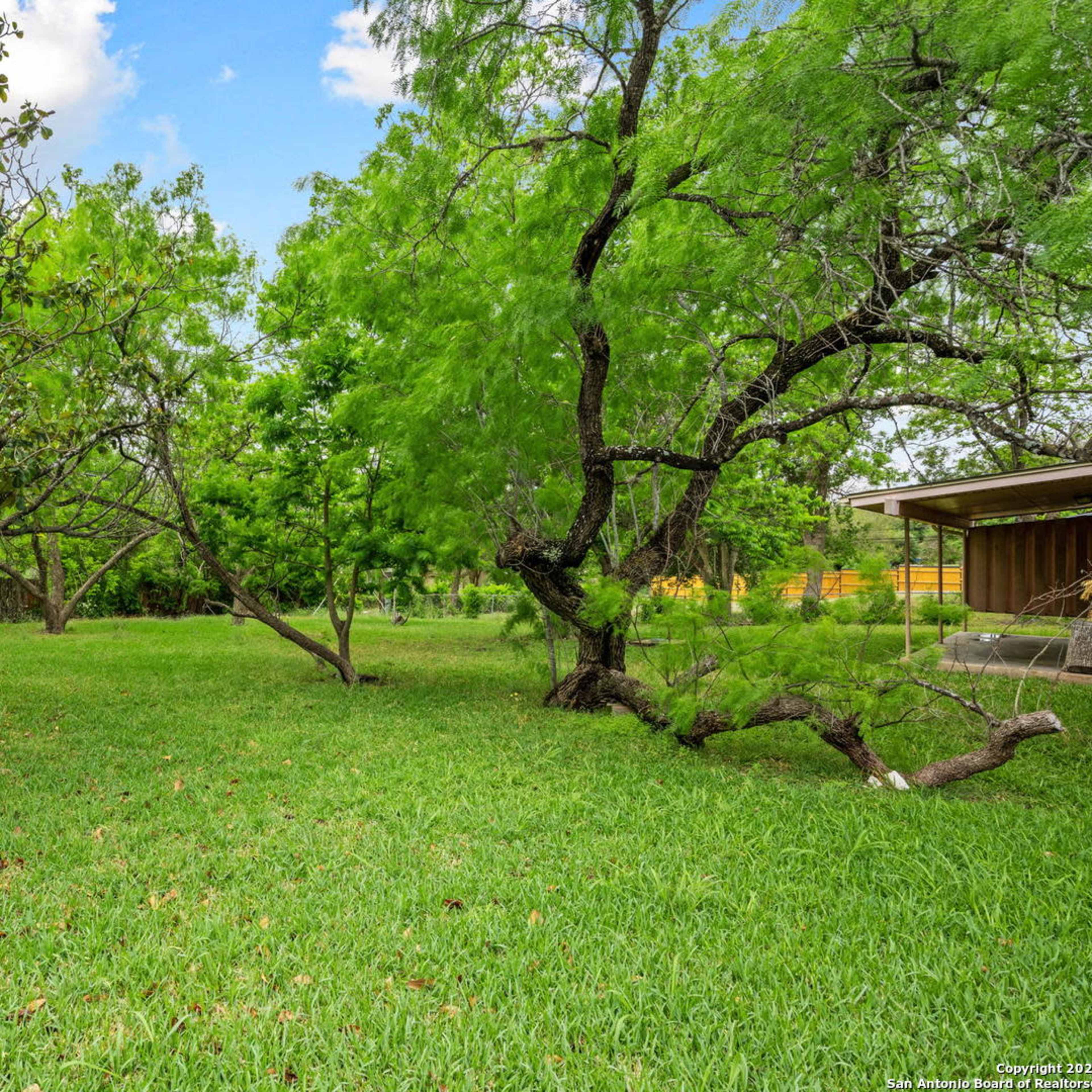 A grassy area features several trees with lush green foliage.