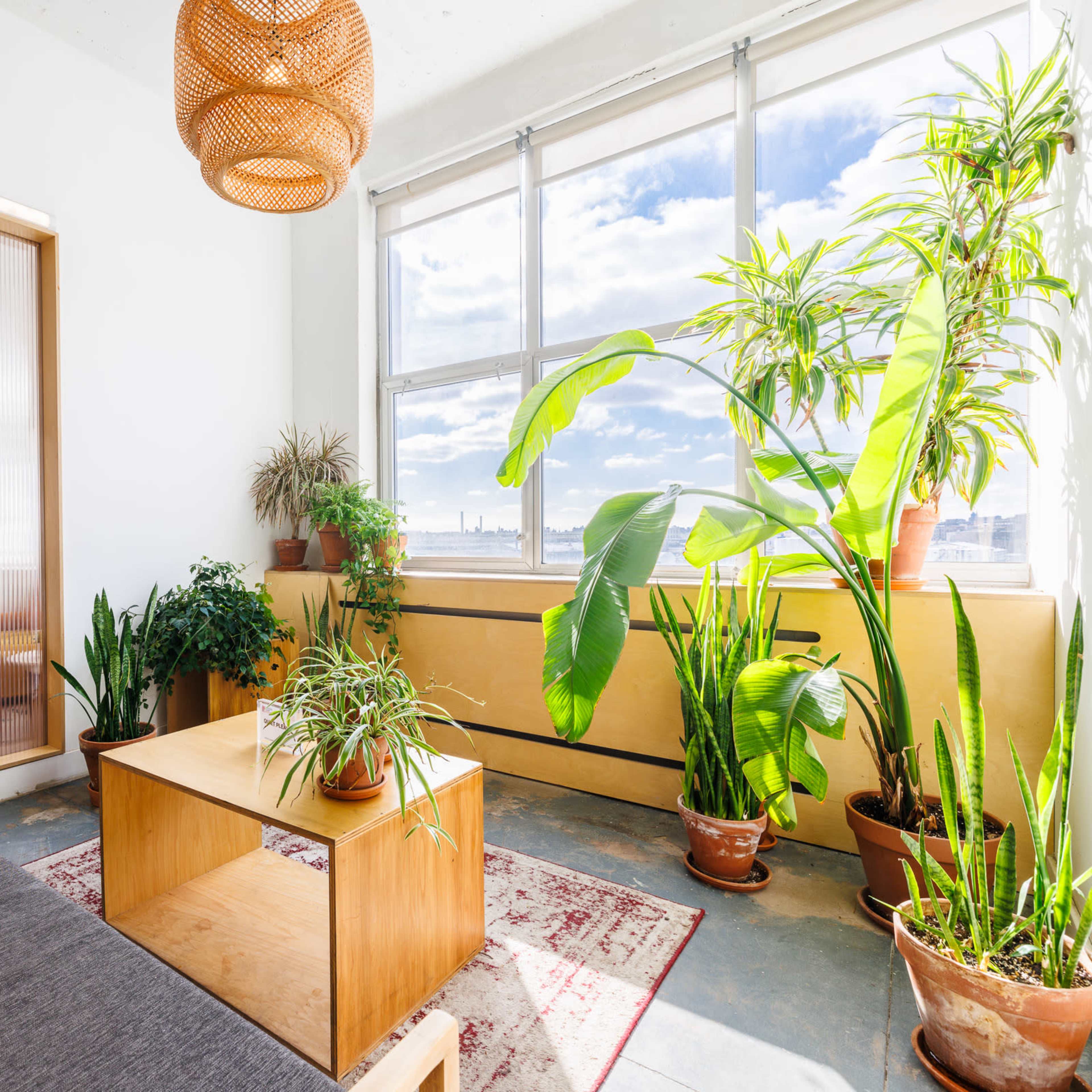 Long Island City Private Office Space with Manhattan Skyline View Image in Long Island City, Queens County, NY