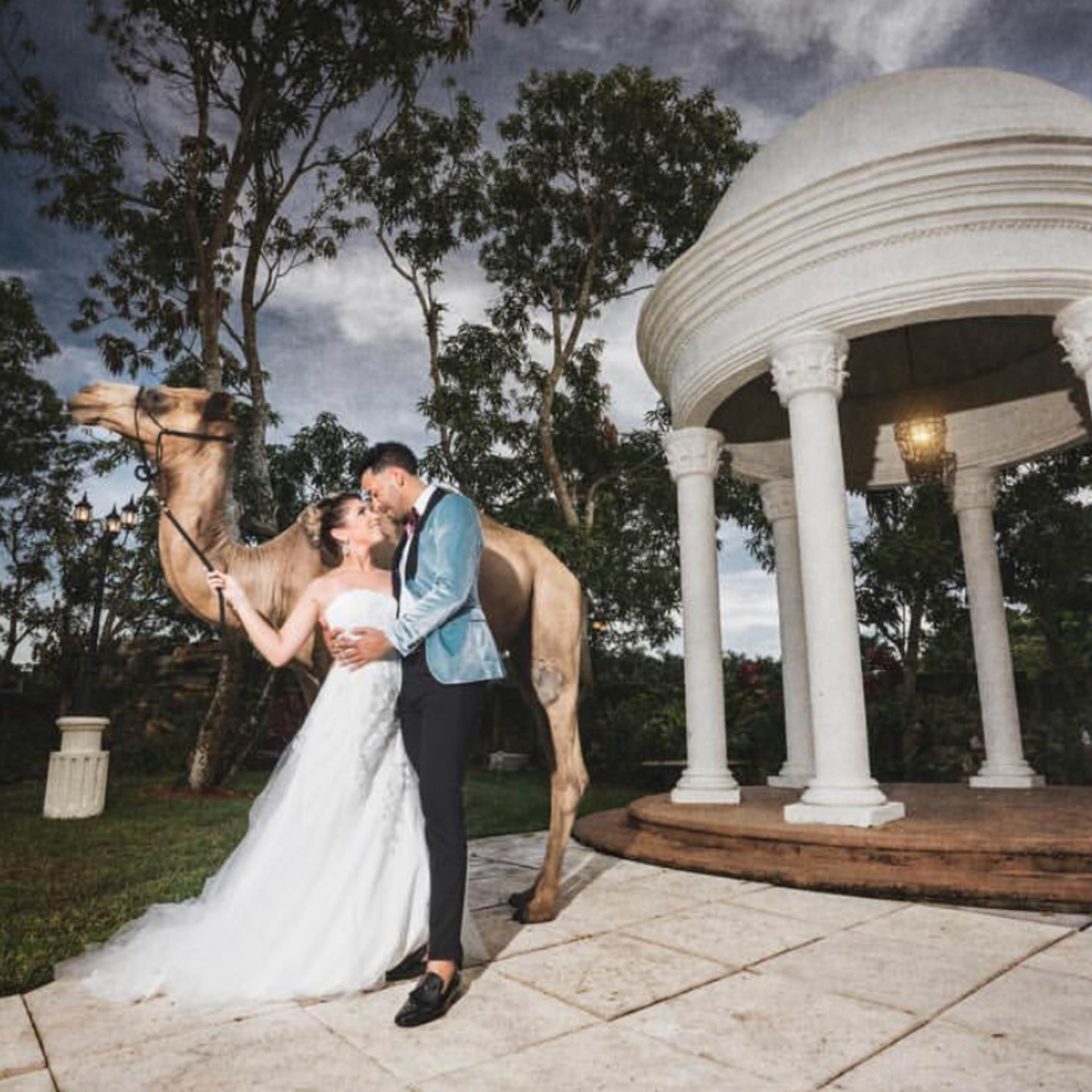 A bride and groom kiss near a camel while posing in front of a white, columned structure on a stone patio.