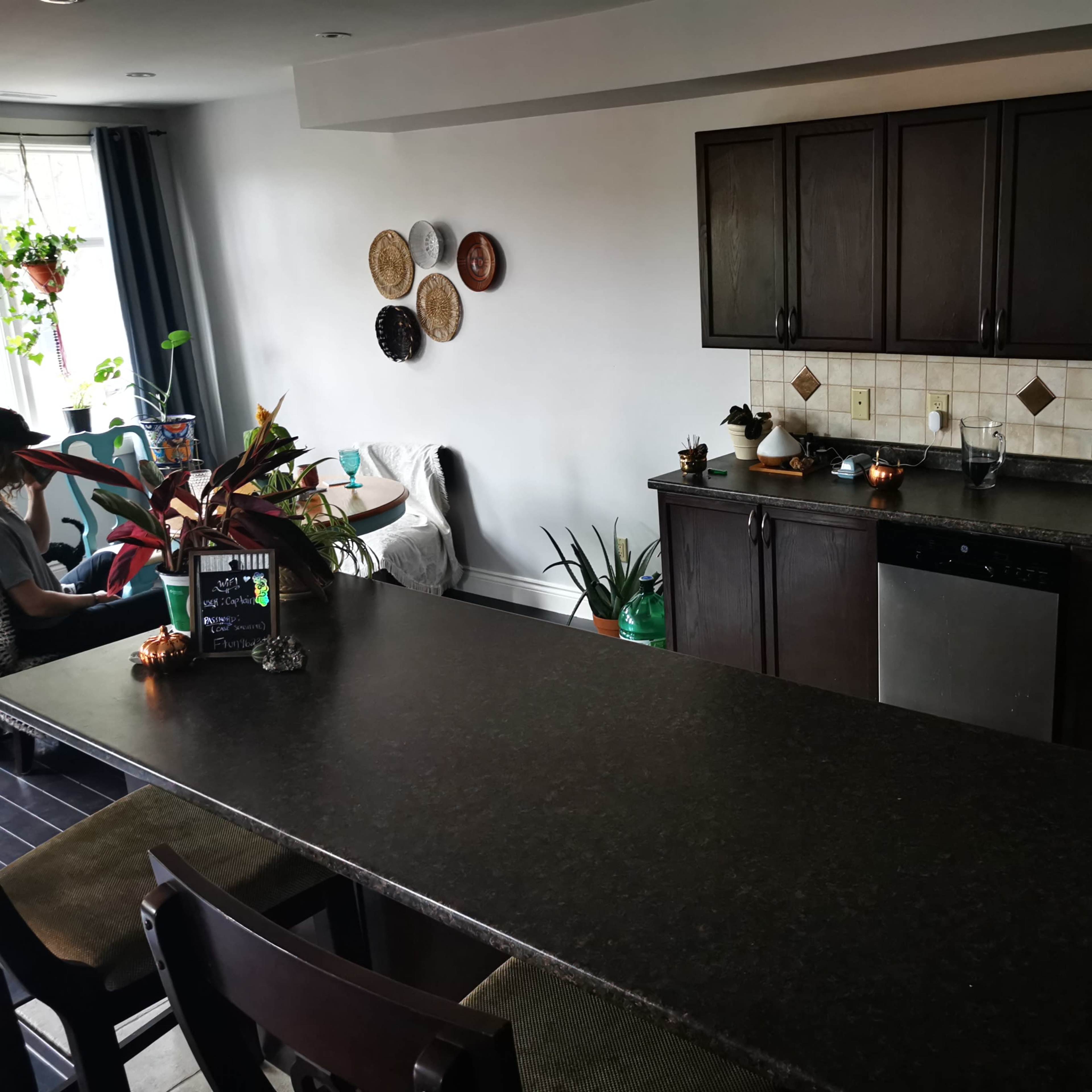 A modern kitchen features dark cabinetry, a stainless steel sink, and a breakfast bar with stools, along with decorative wall plates and houseplants.
