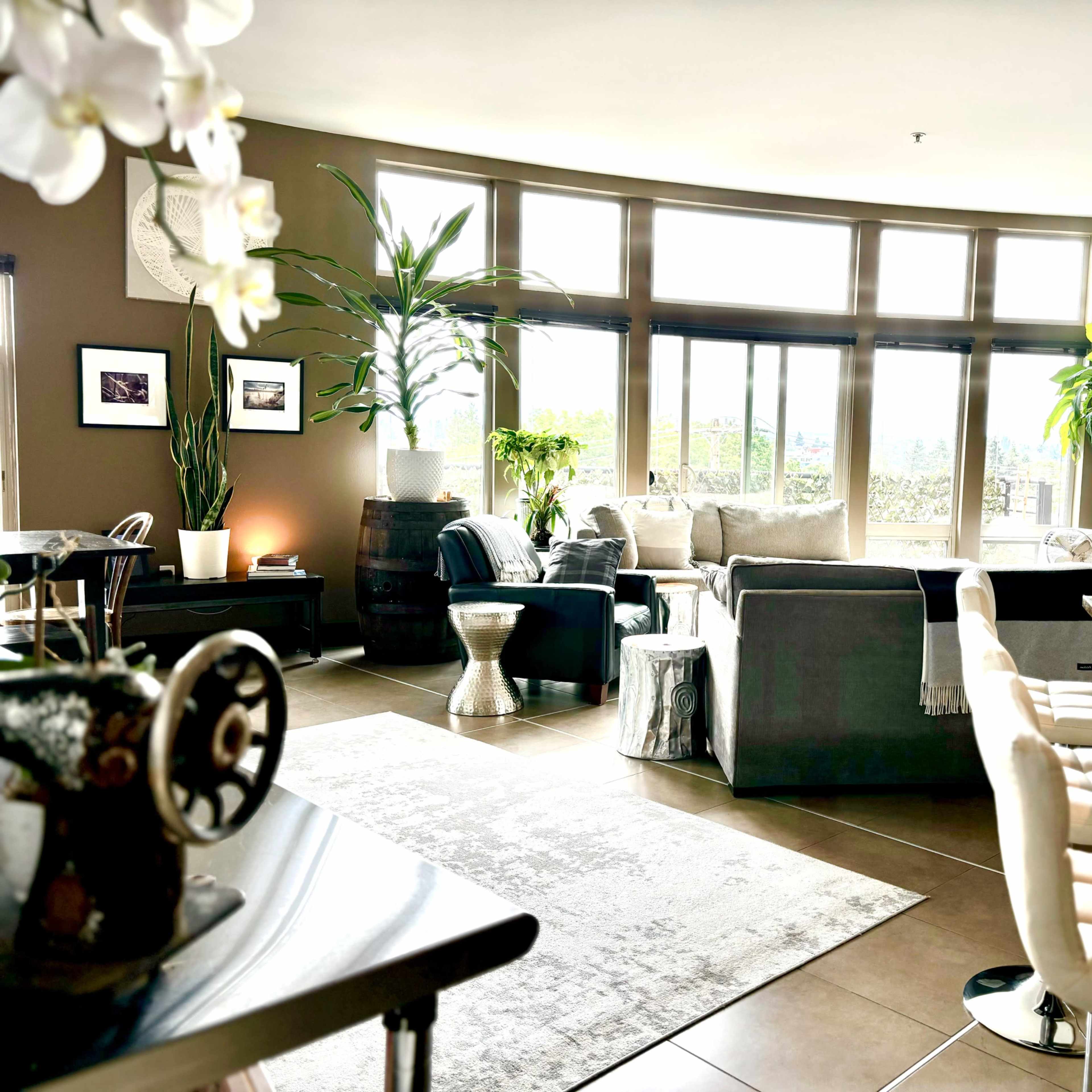 A spacious modern living room with large windows, plants, and a kitchen bar area.