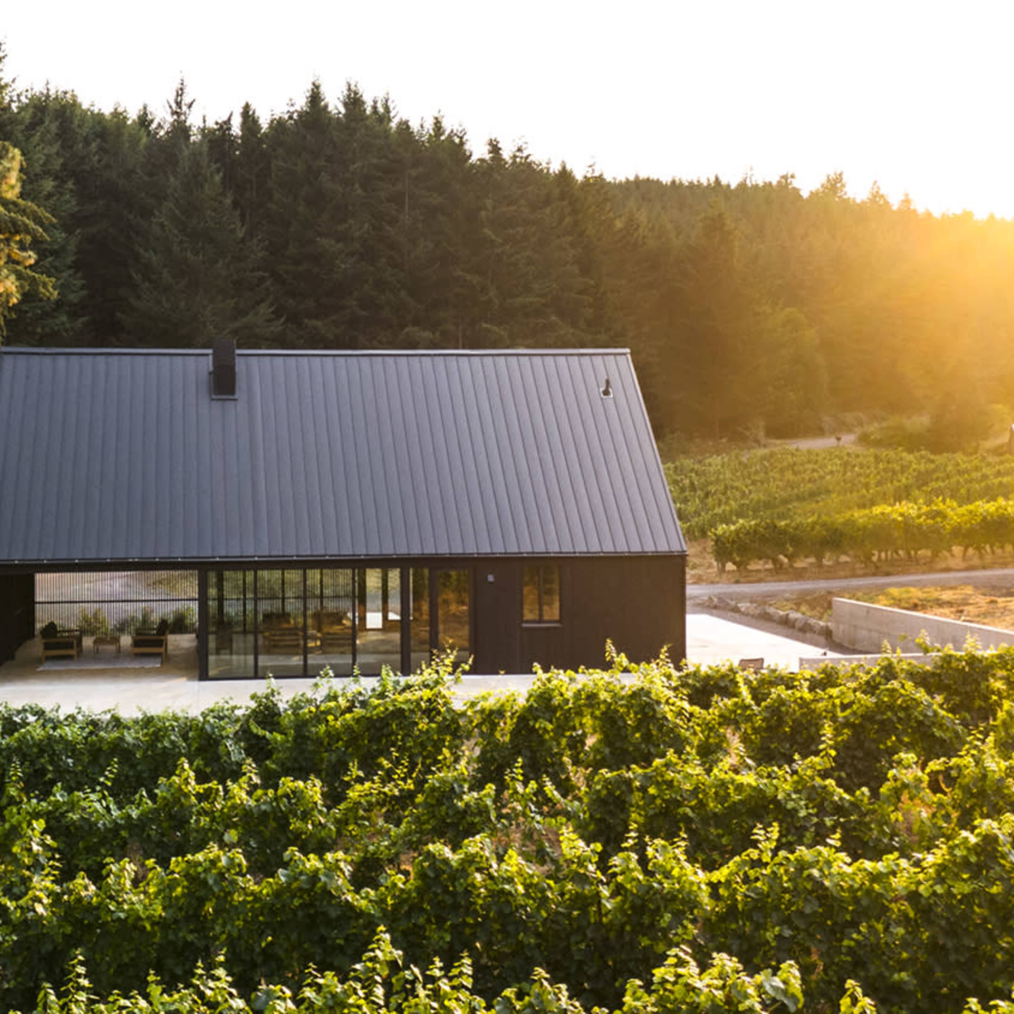 modern winery in an idyllic setting Image in , Dundee, OR