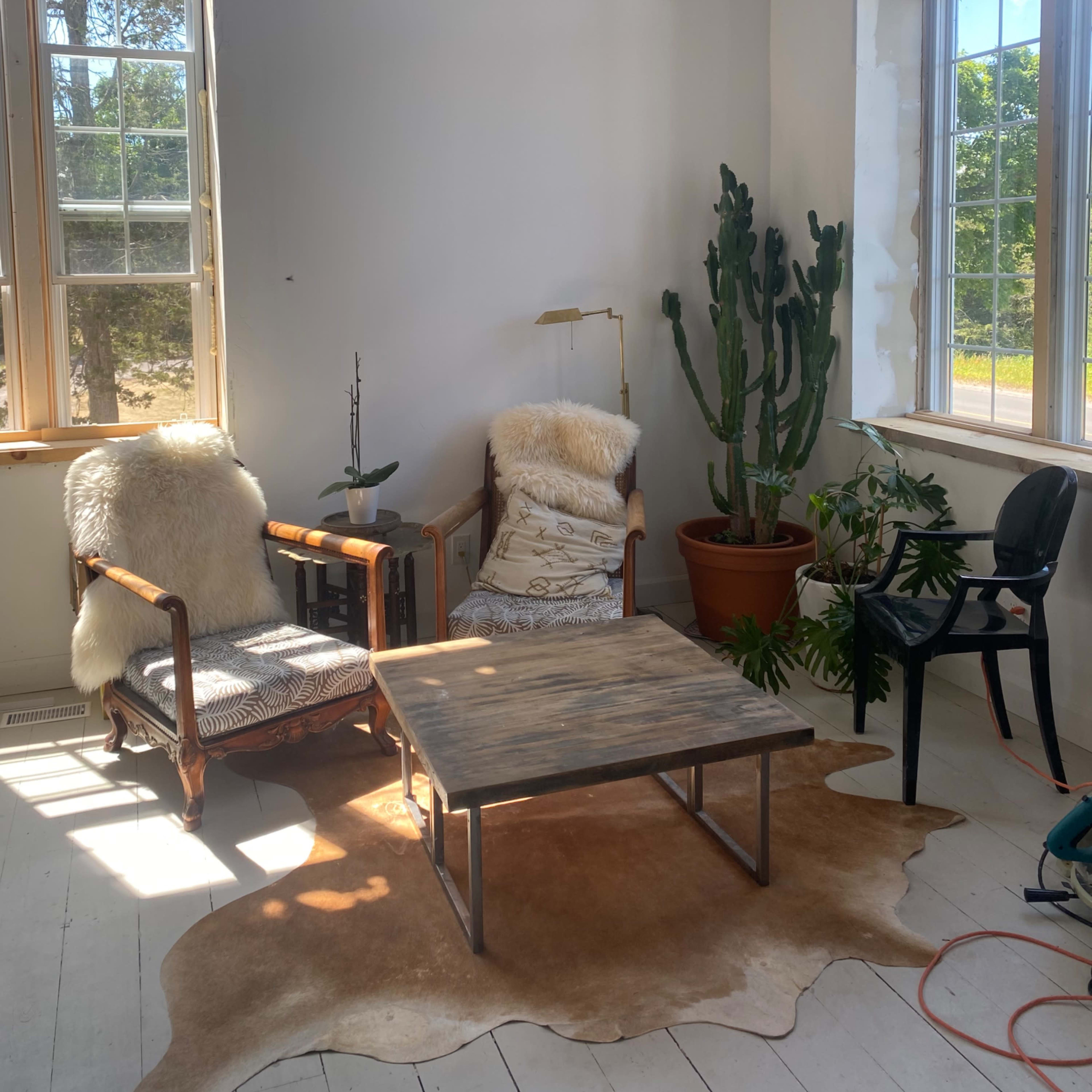 A bright room with two armchairs, a small table on a cowhide rug, a large cactus, and various plants near the windows.