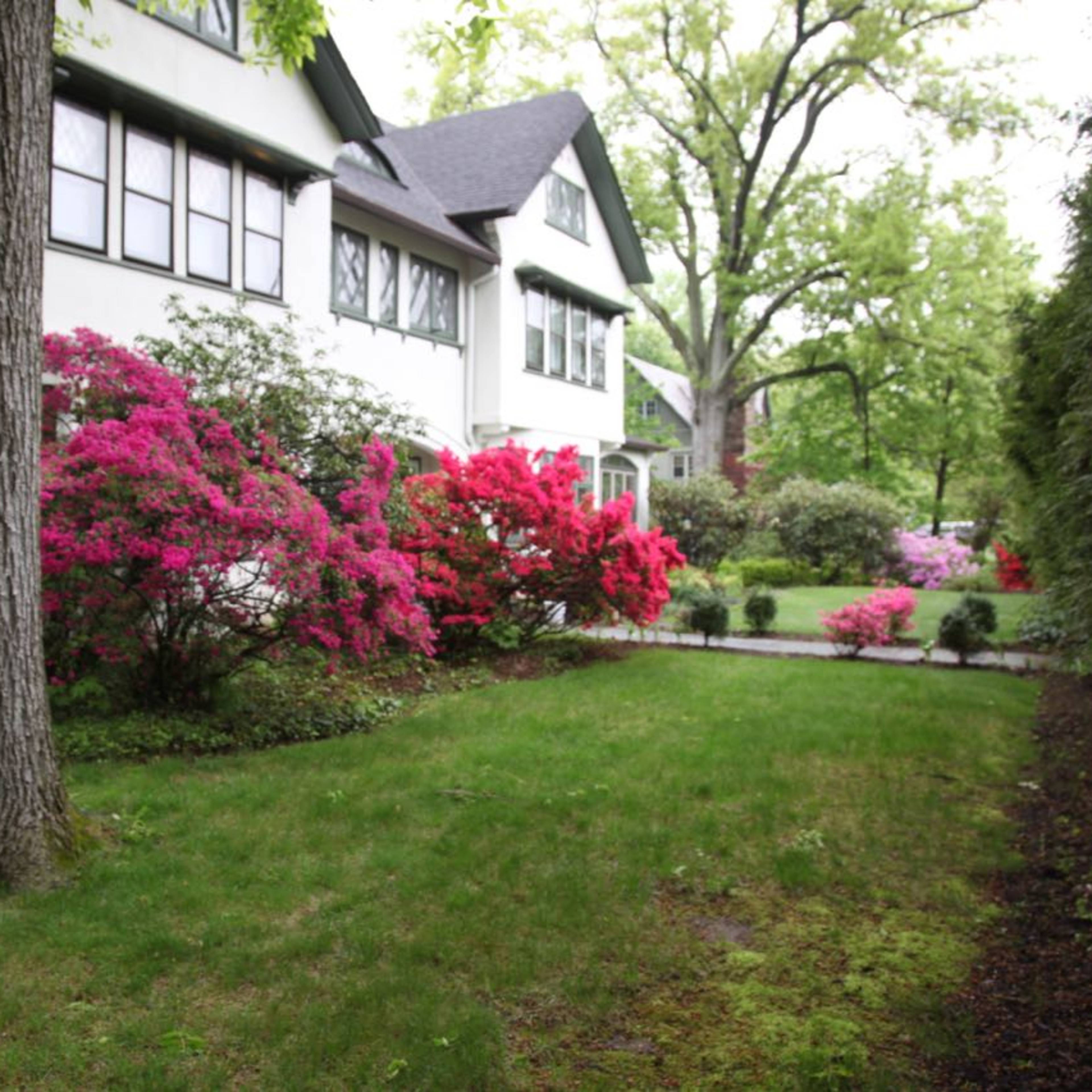 A landscaped garden with blooming azaleas in various colors alongside a large white house.