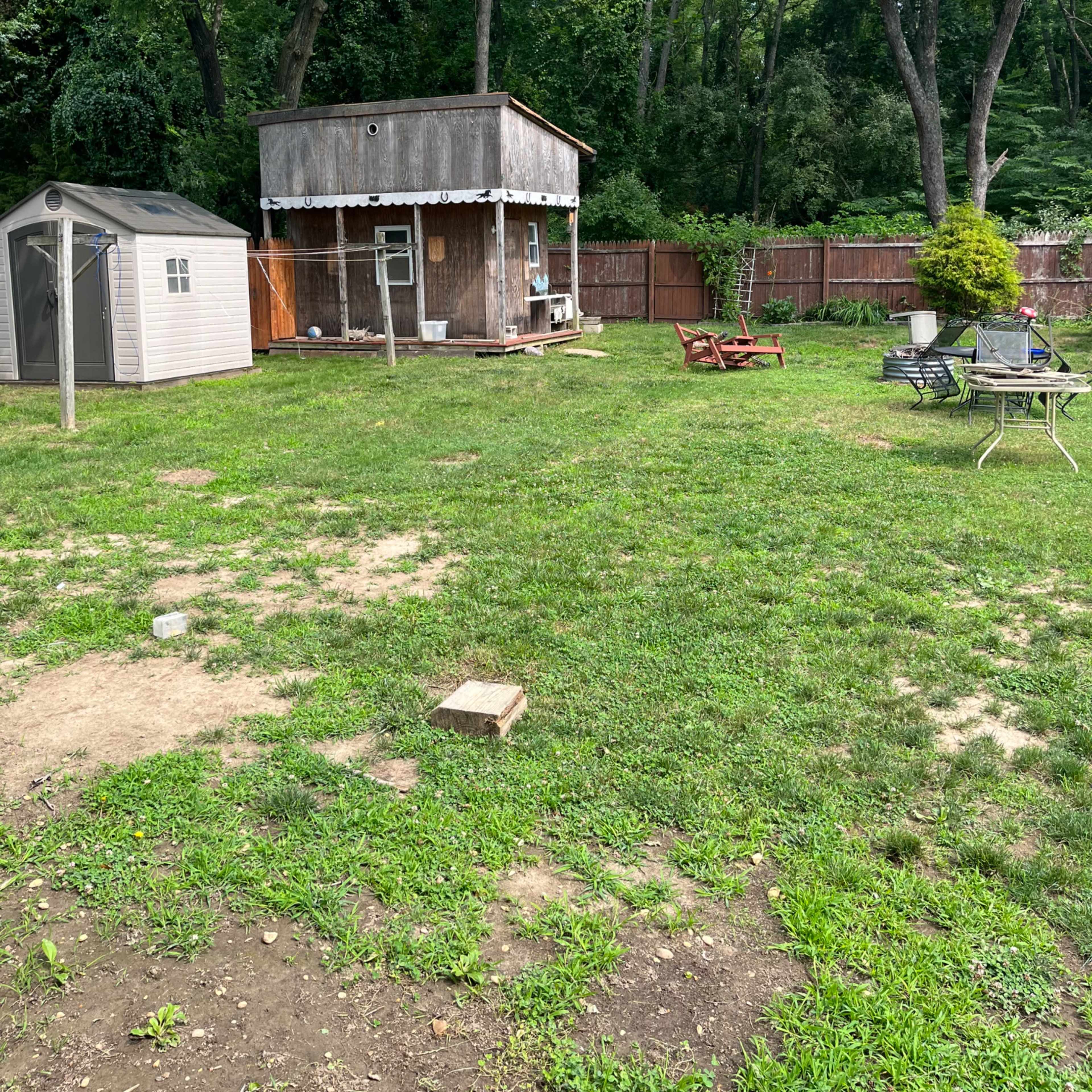 A grassy yard with a wooden structure and a shed, surrounded by trees and a wooden fence.