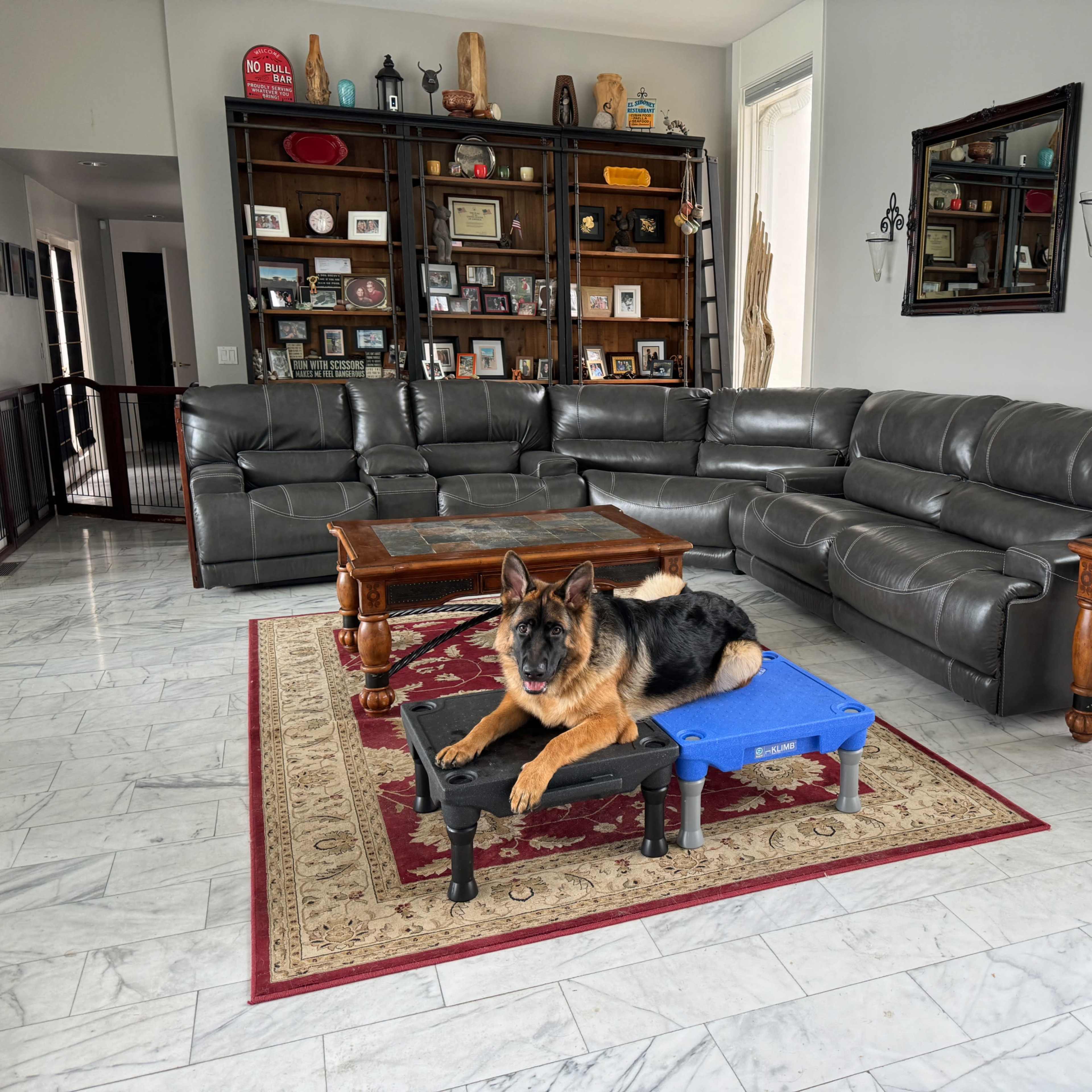Seattle suburbs, see-through mansion on 12 acres, towering views of Mount Rainier, the Cascade foothills and the Olympic Mountains Image in , Auburn, WA