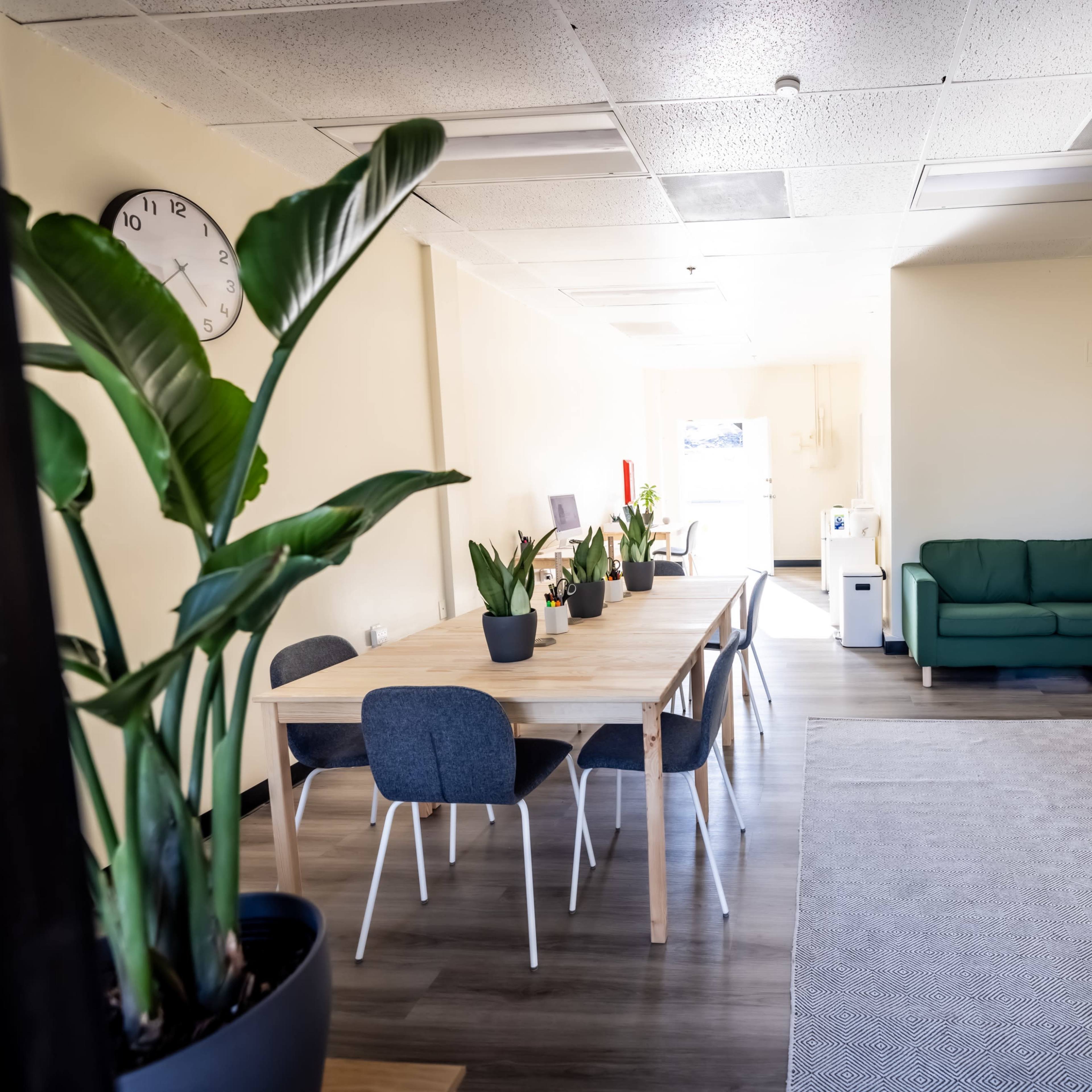 A bright office space featuring a green sofa, a dining table with chairs, and computer workstations, all adorned with potted plants.