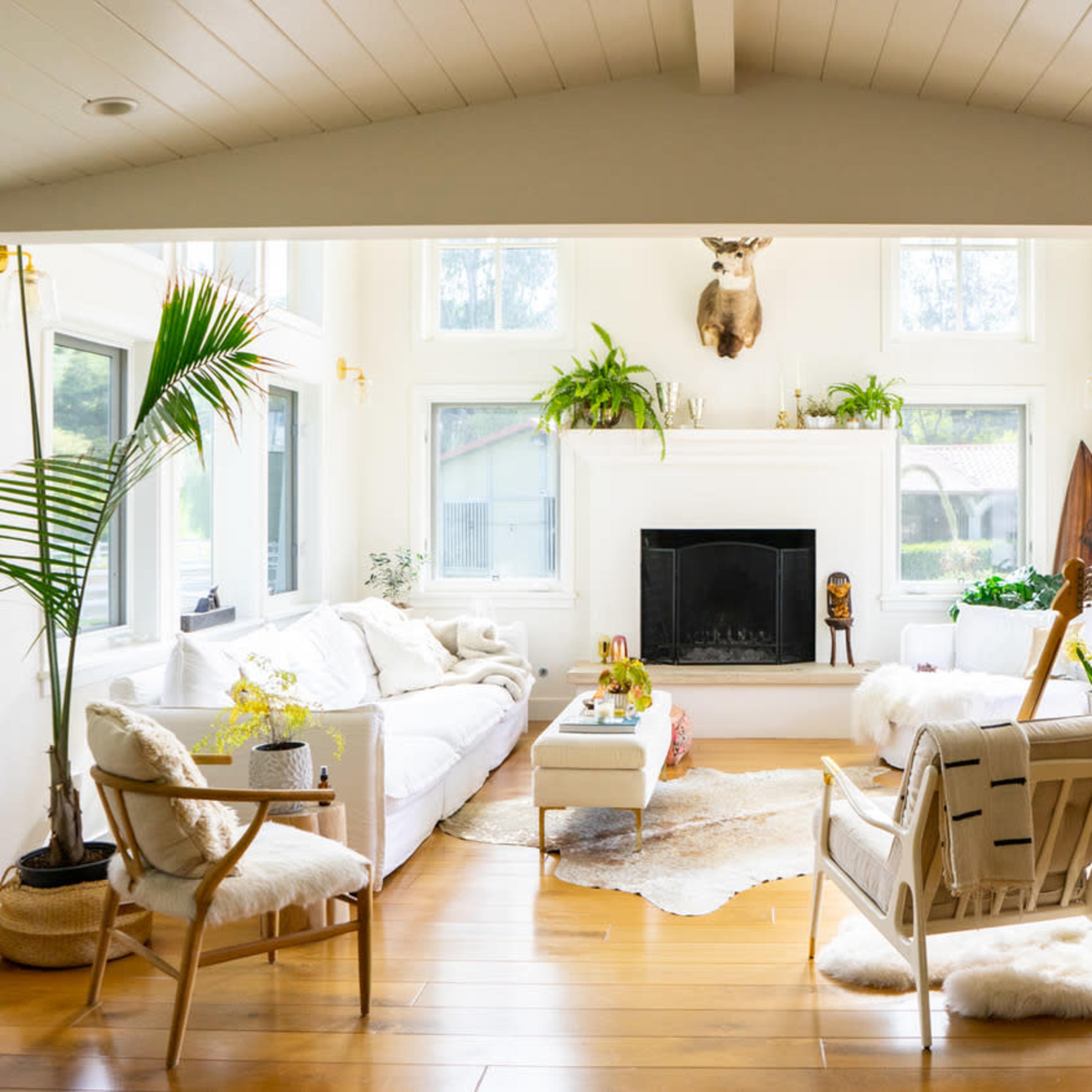 A bright living room features a white sofa, several indoor plants, a fireplace, and various seating arrangements, creating a cozy atmosphere.