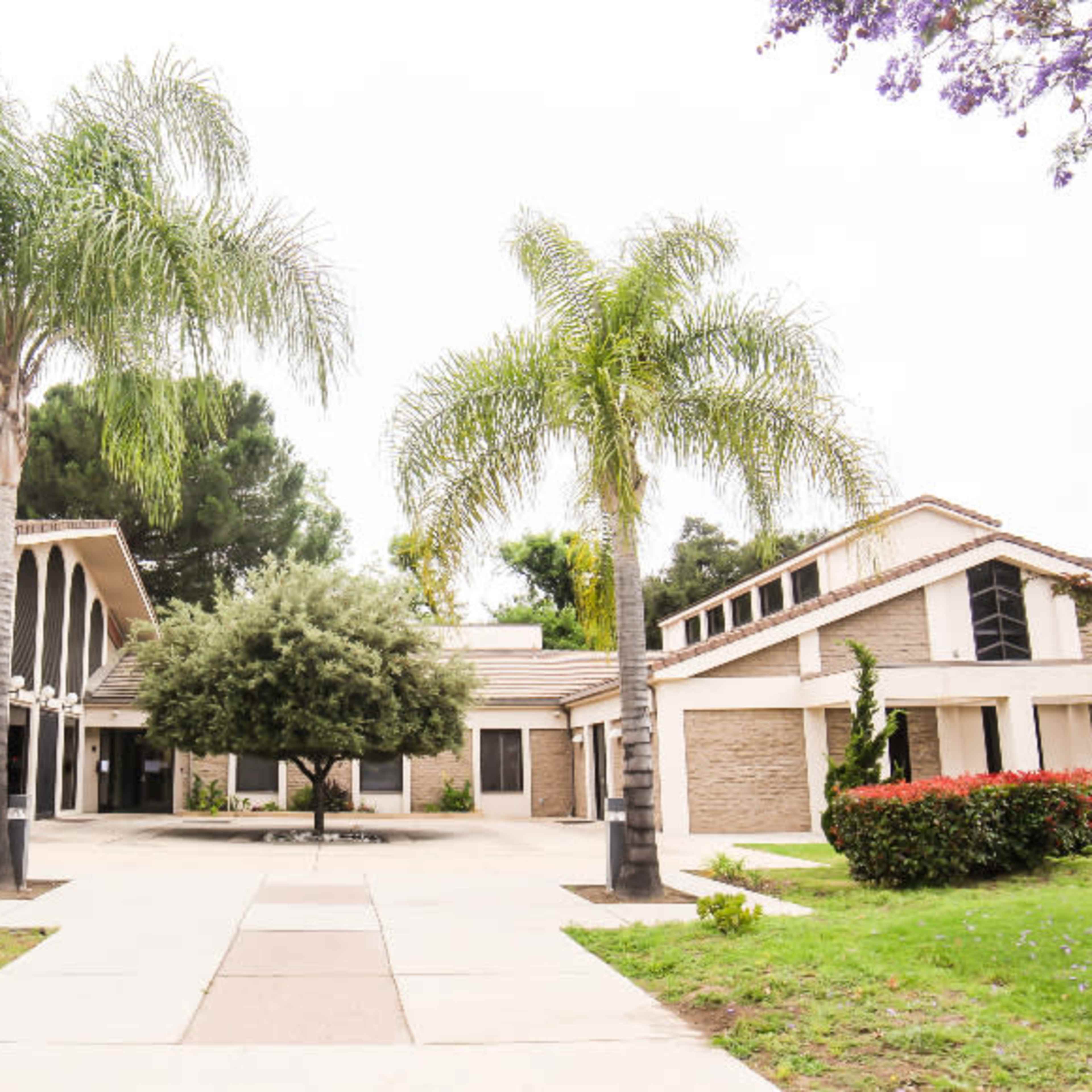 A landscaped courtyard with palm trees and two buildings on either side.