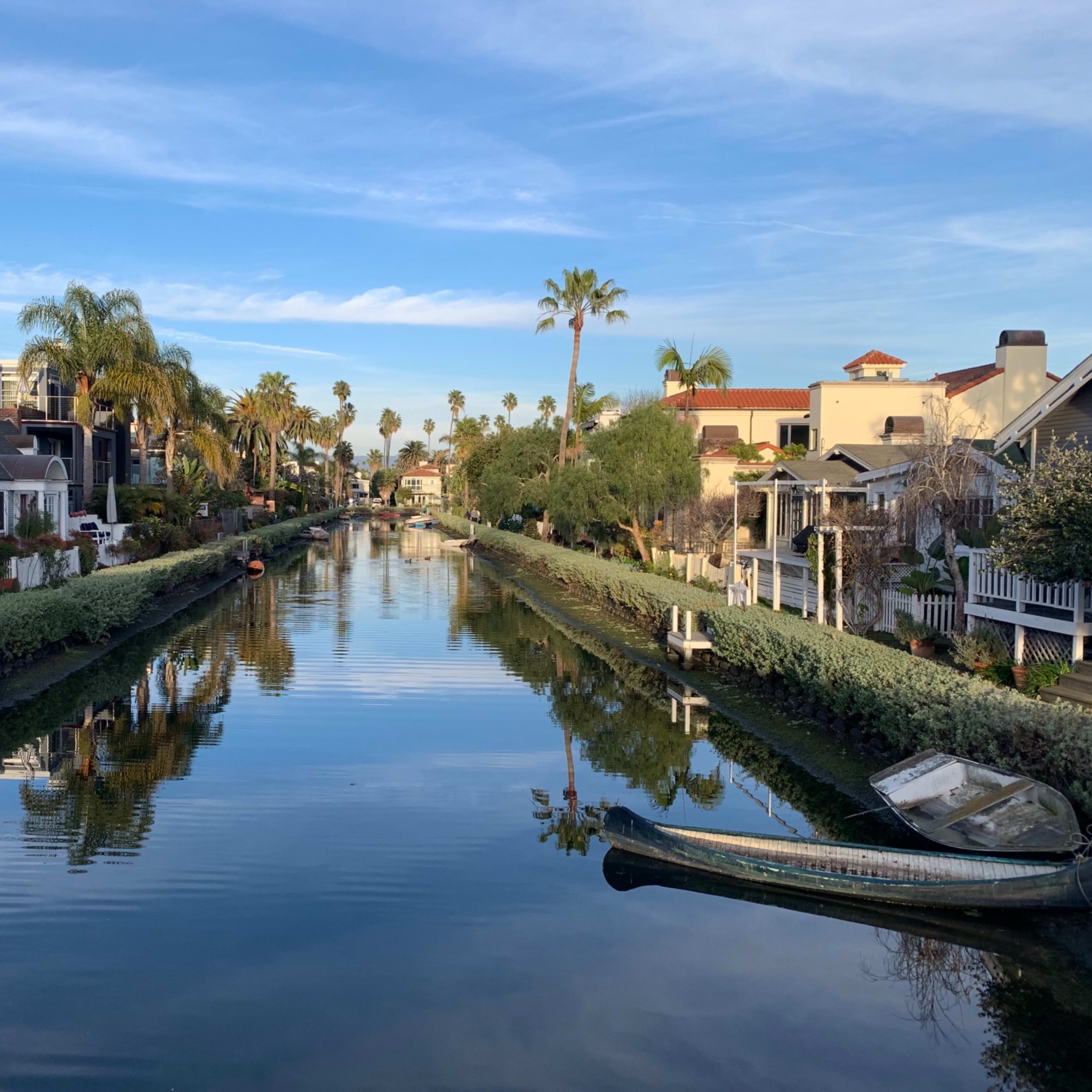 A calm canal lined with palm trees and residential houses reflecting in the water under a clear blue sky.