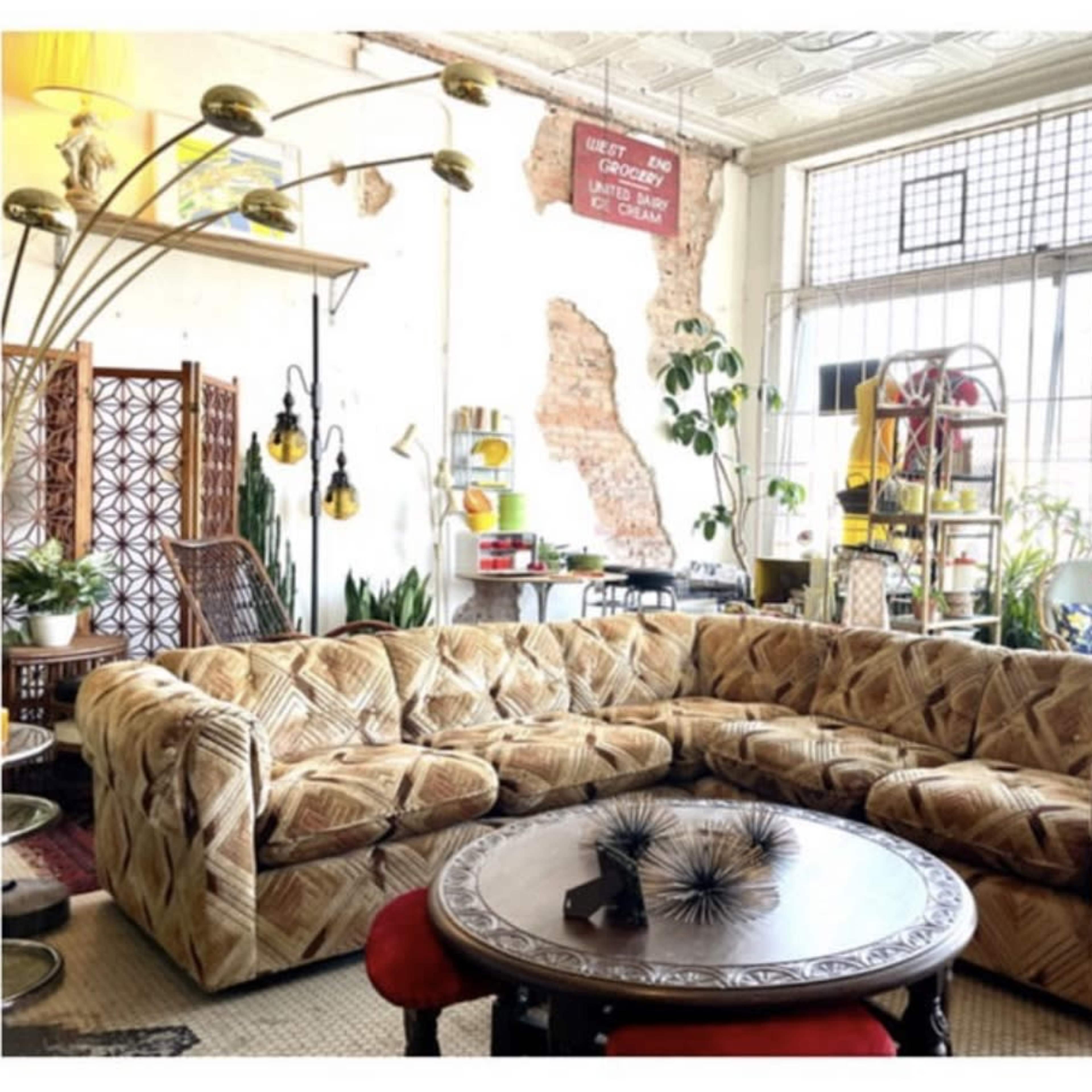 A spacious living room with a large, patterned sectional sofa, a round coffee table, and various plants and decorative items arranged around a window with grid pane.